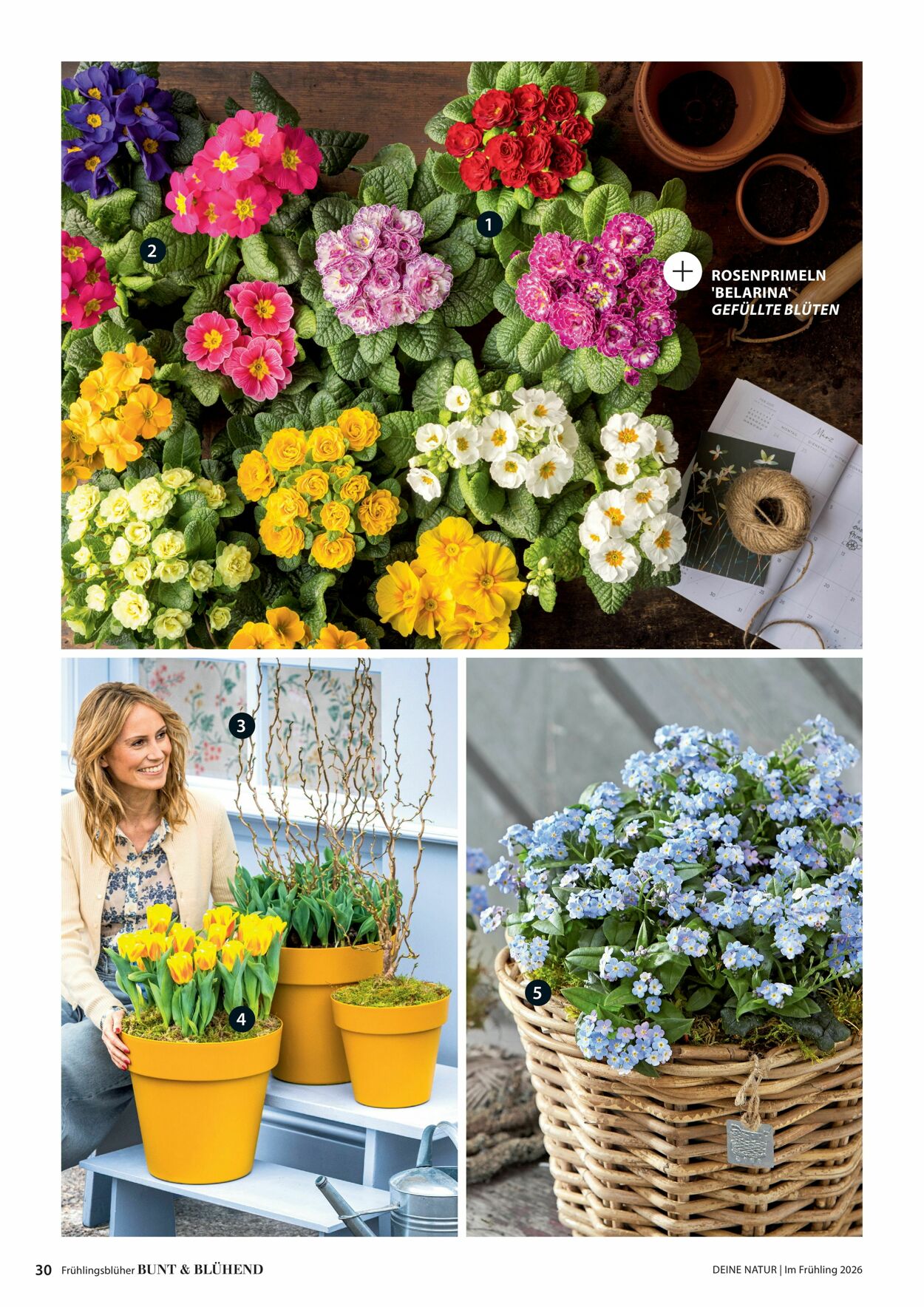 Prospekt Dehner 04.03.2026 - 12.03.2026