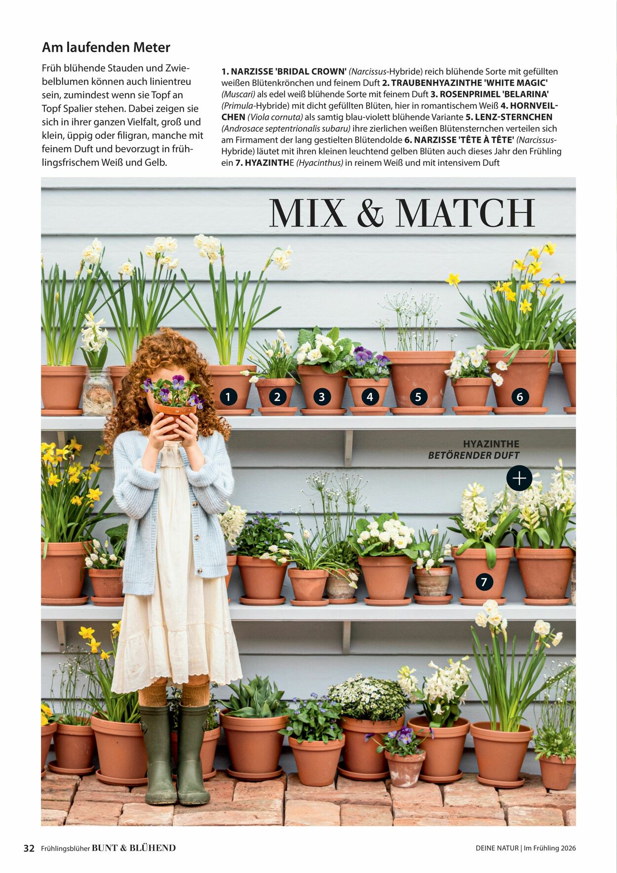 Prospekt Dehner 04.03.2026 - 12.03.2026