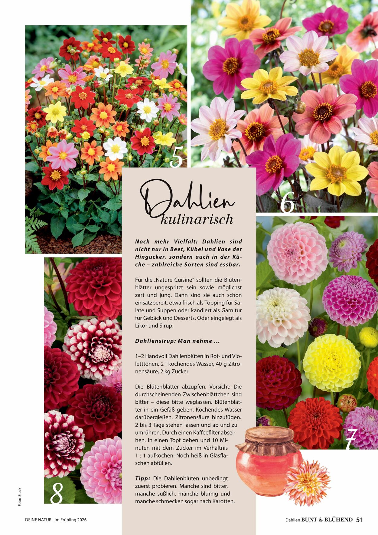 Prospekt Dehner 04.03.2026 - 12.03.2026