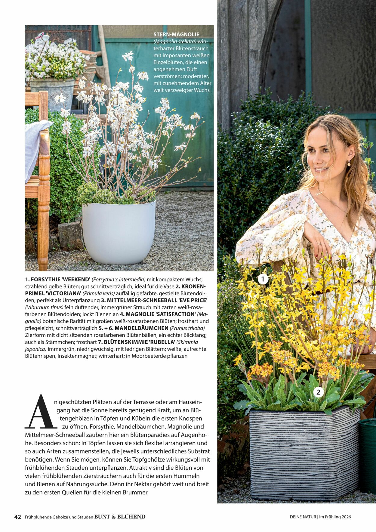 Prospekt Dehner 04.03.2026 - 12.03.2026