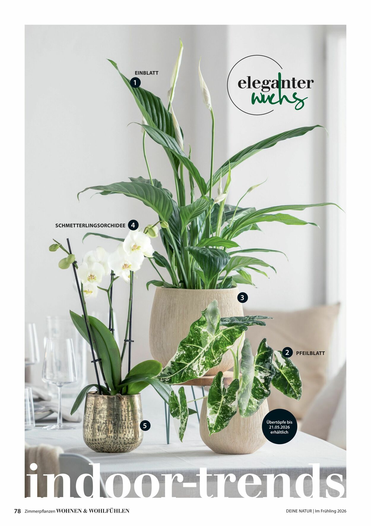 Prospekt Dehner 04.03.2026 - 12.03.2026