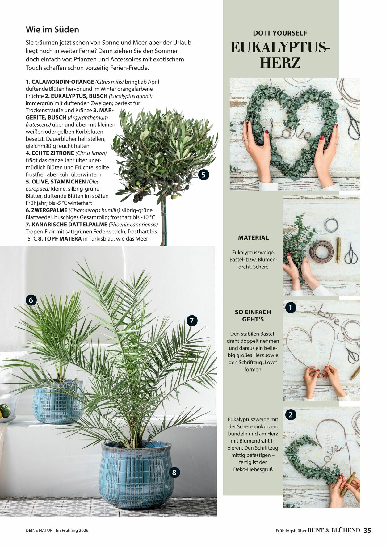 Prospekt Dehner 04.03.2026 - 12.03.2026