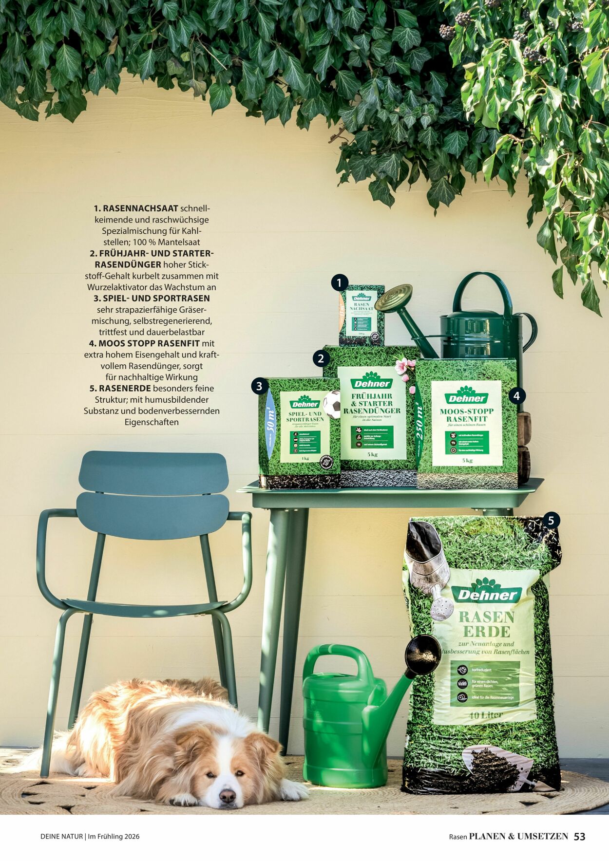 Prospekt Dehner 04.03.2026 - 12.03.2026