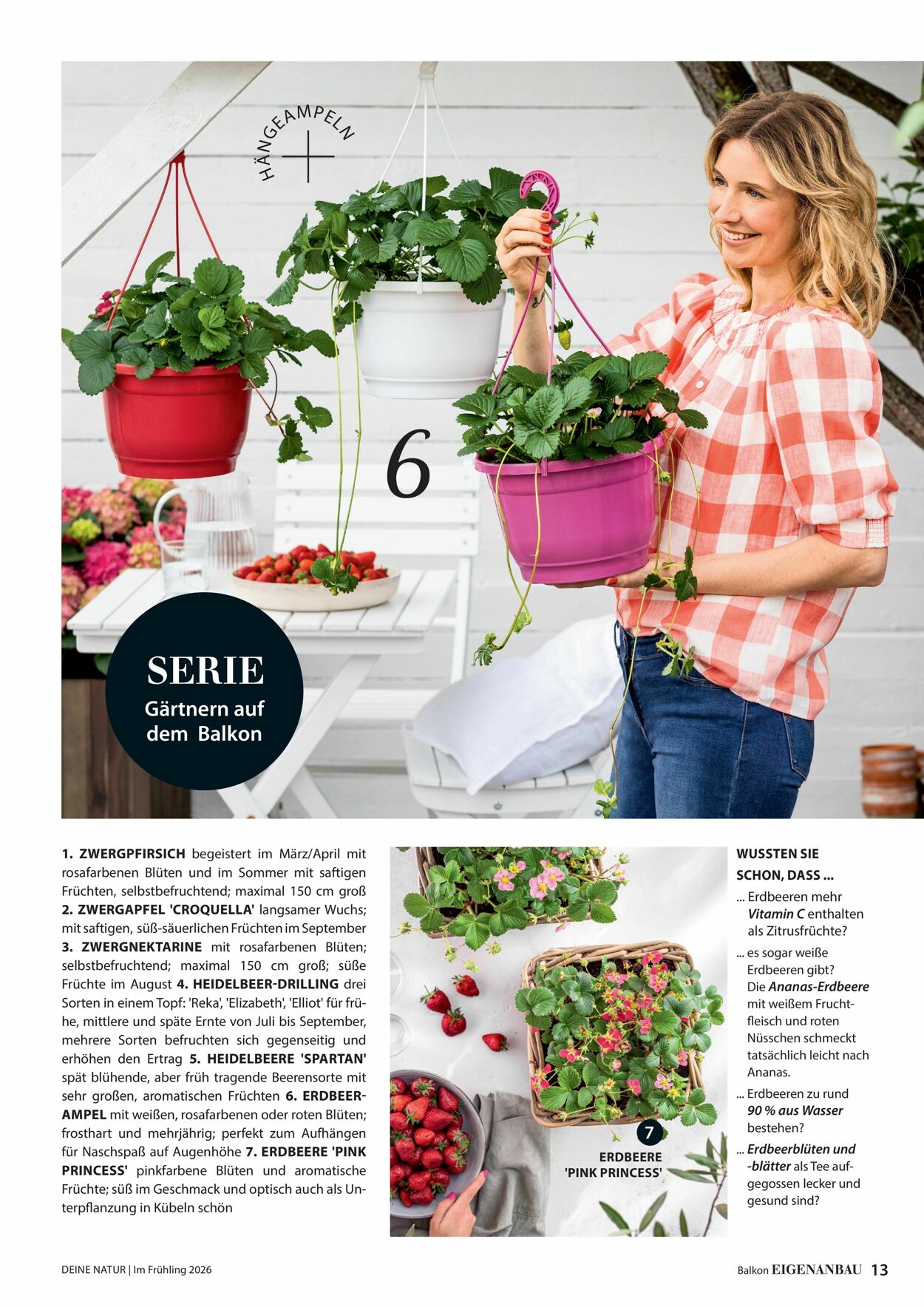 Prospekt Dehner 04.03.2026 - 12.03.2026