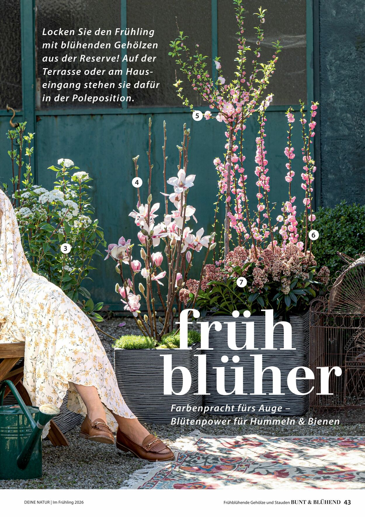 Prospekt Dehner 04.03.2026 - 12.03.2026