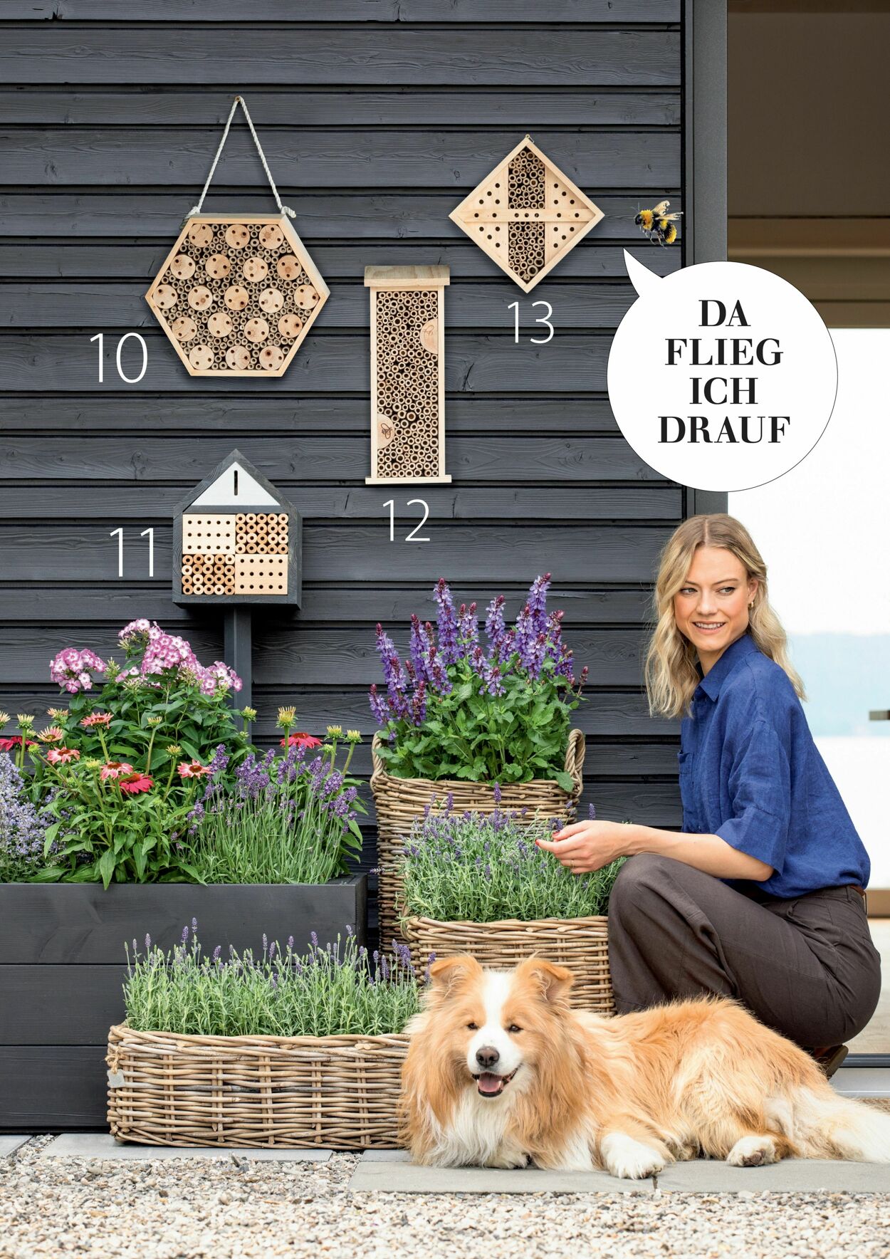 Prospekt Dehner 04.03.2026 - 12.03.2026