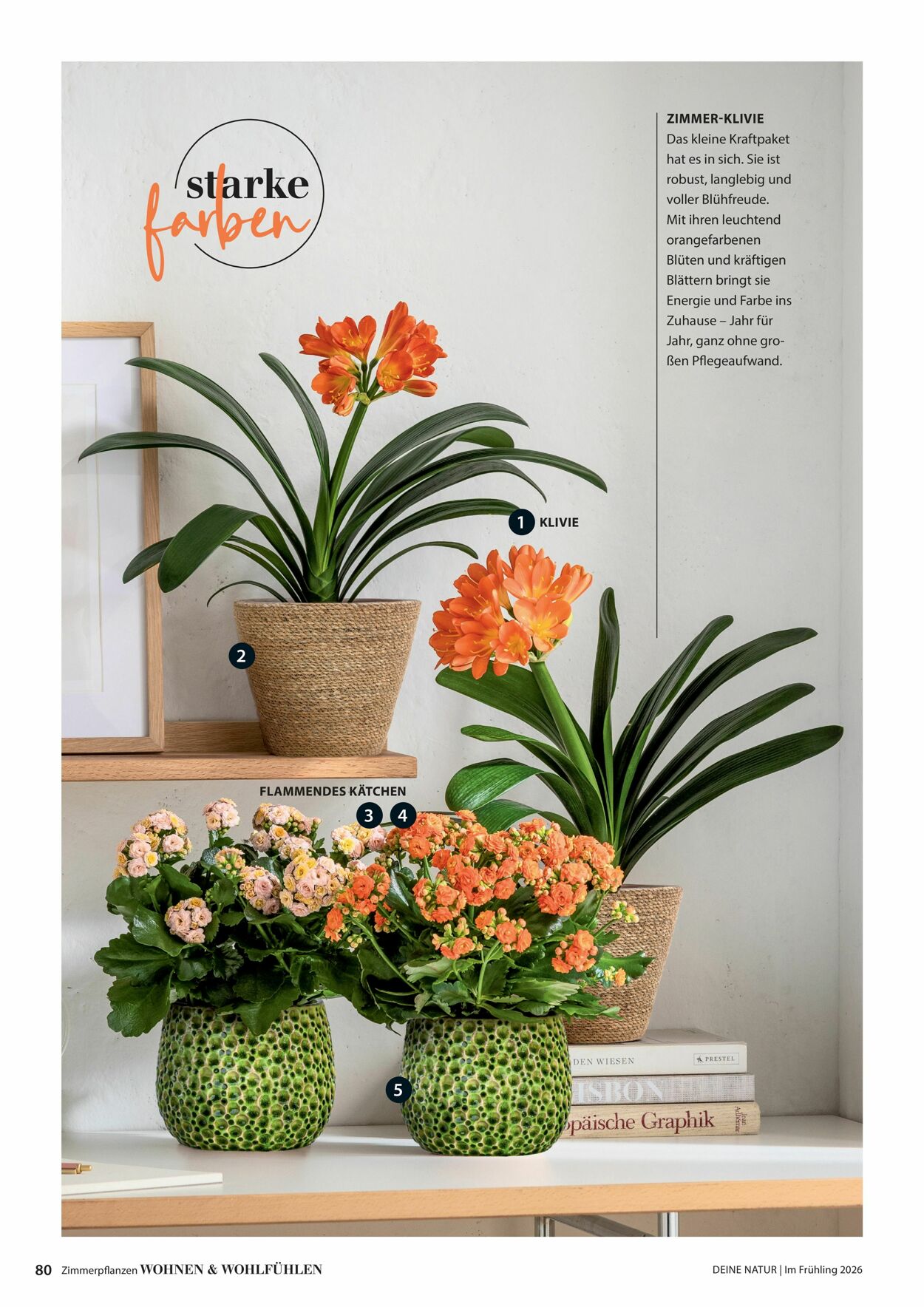 Prospekt Dehner 04.03.2026 - 12.03.2026