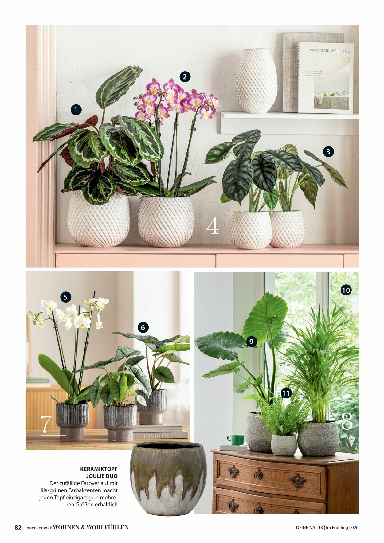 Prospekt Dehner 04.03.2026 - 12.03.2026