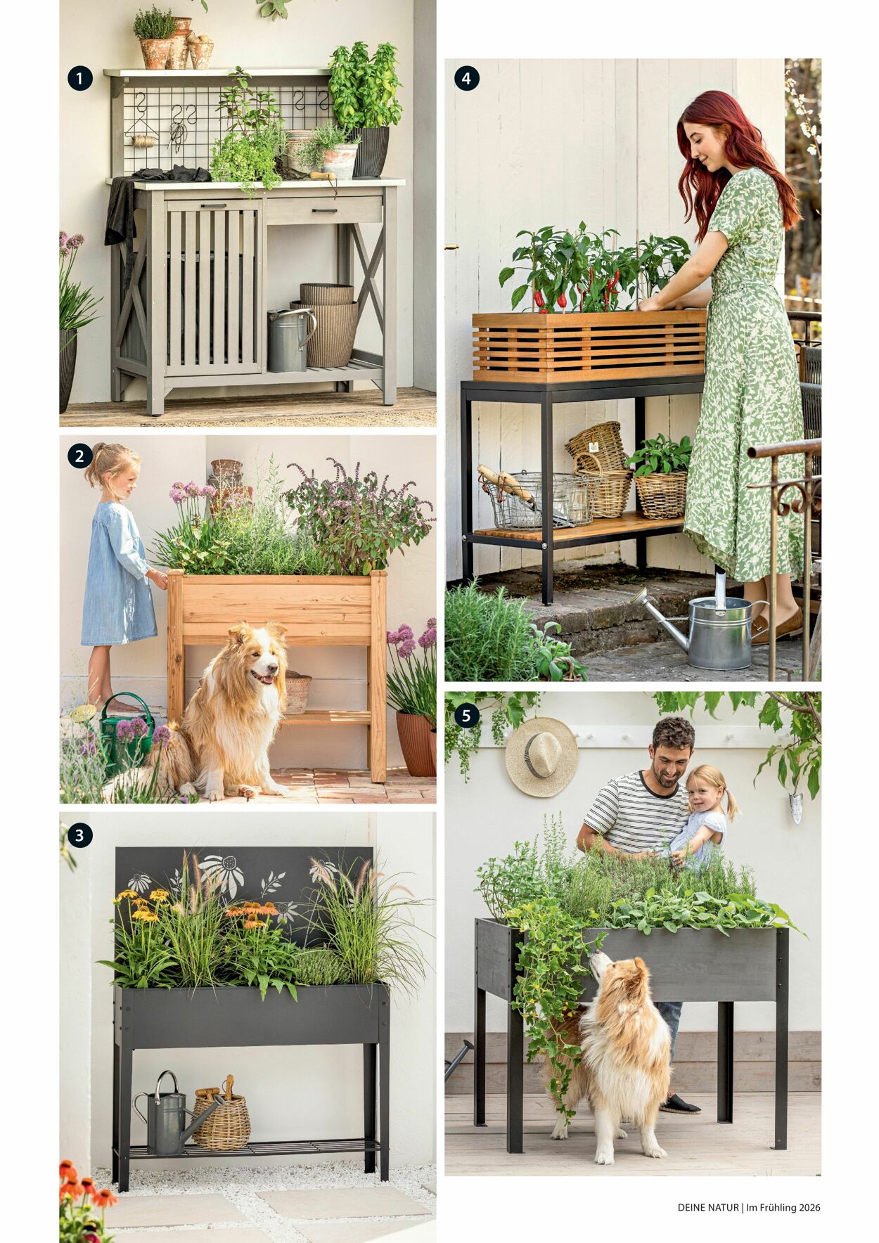 Prospekt Dehner 04.03.2026 - 12.03.2026