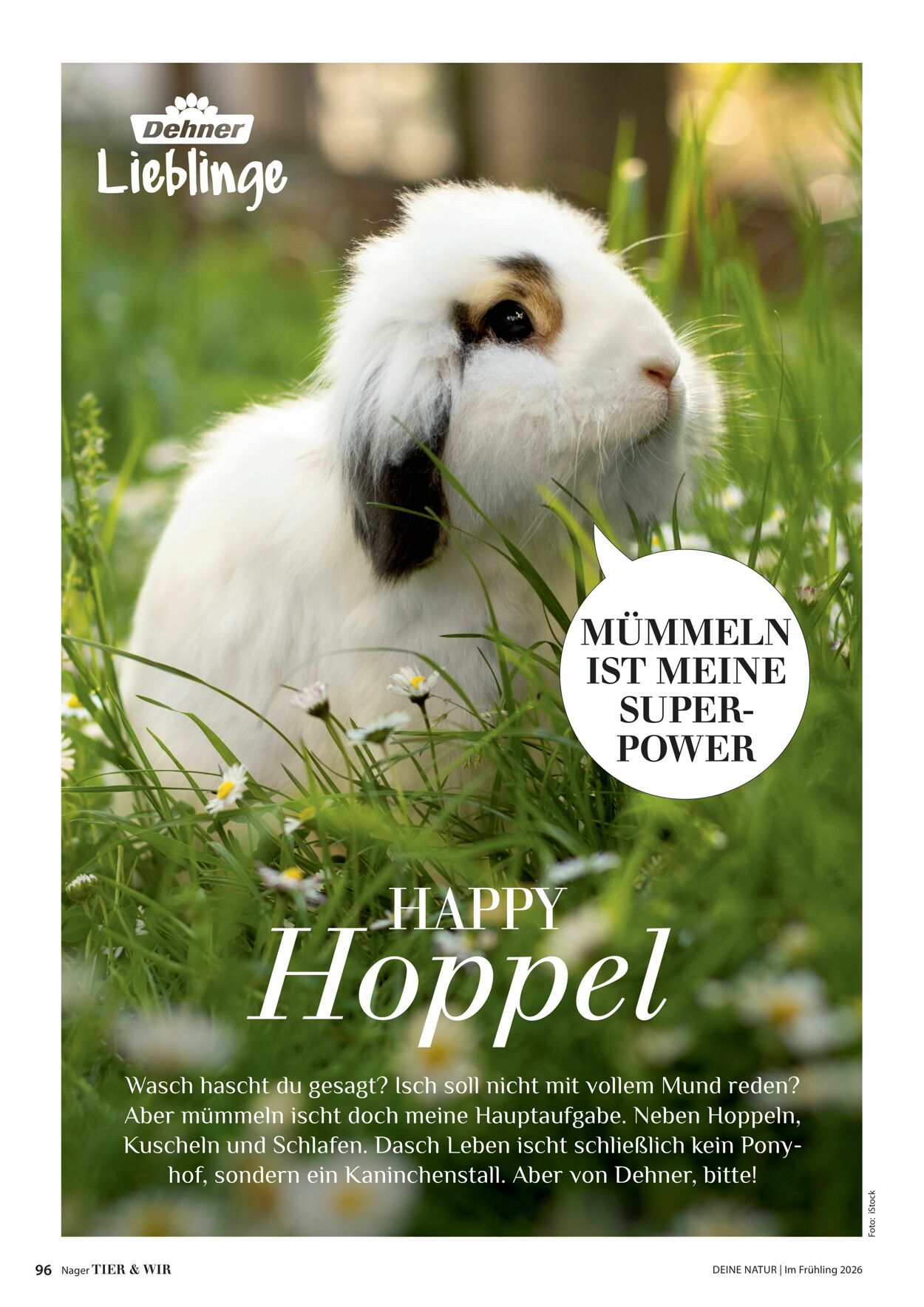 Prospekt Dehner 04.03.2026 - 12.03.2026