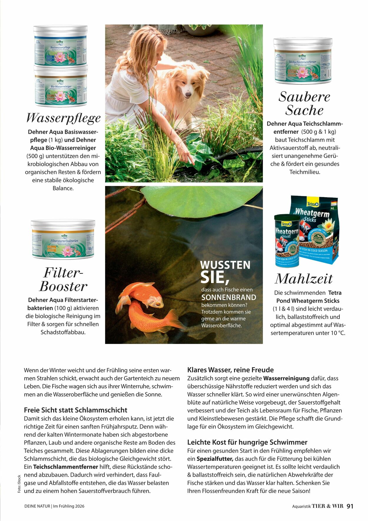 Prospekt Dehner 04.03.2026 - 12.03.2026