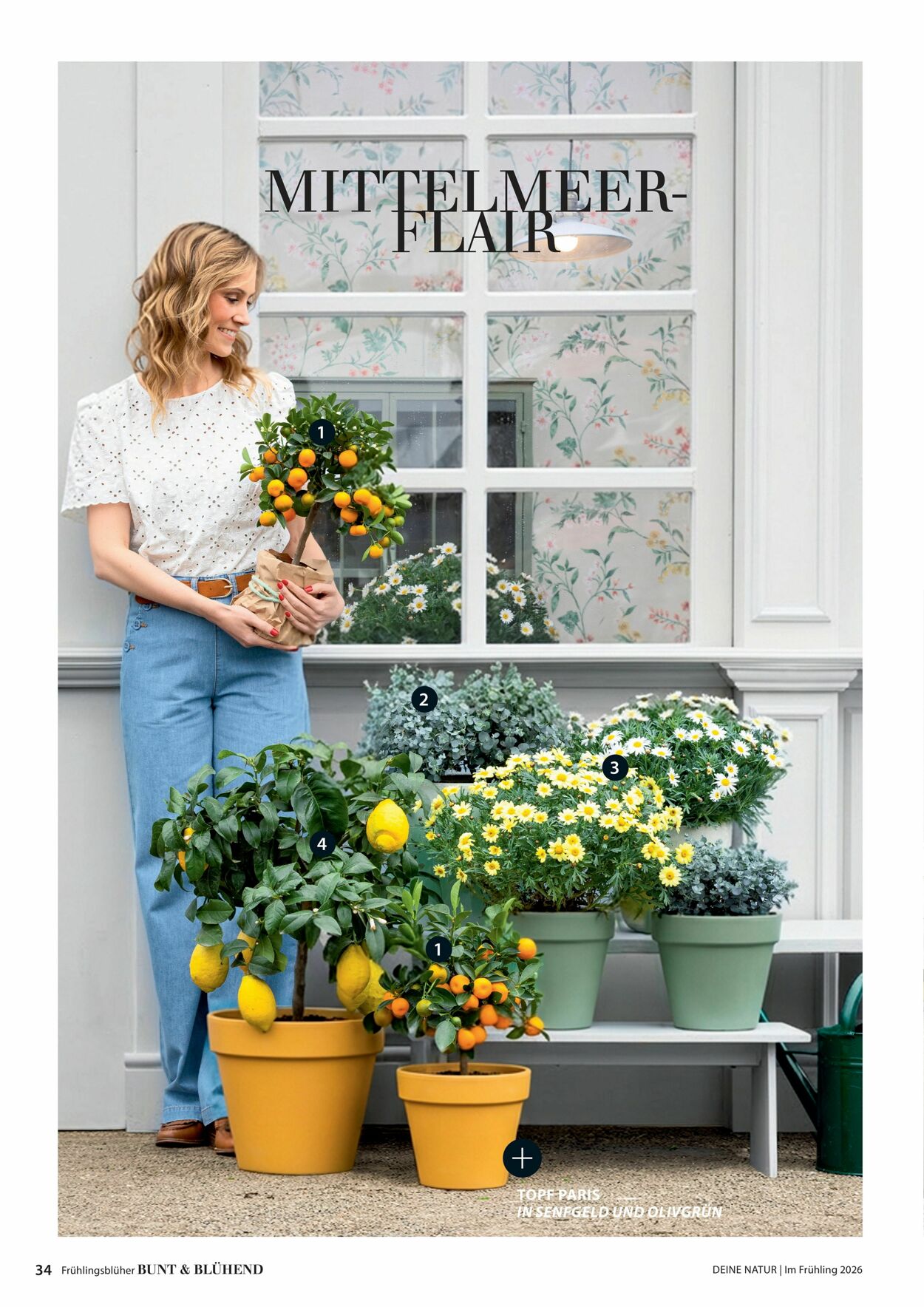 Prospekt Dehner 04.03.2026 - 12.03.2026