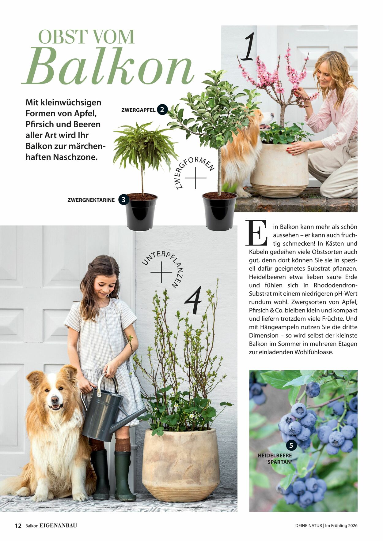 Prospekt Dehner 04.03.2026 - 12.03.2026