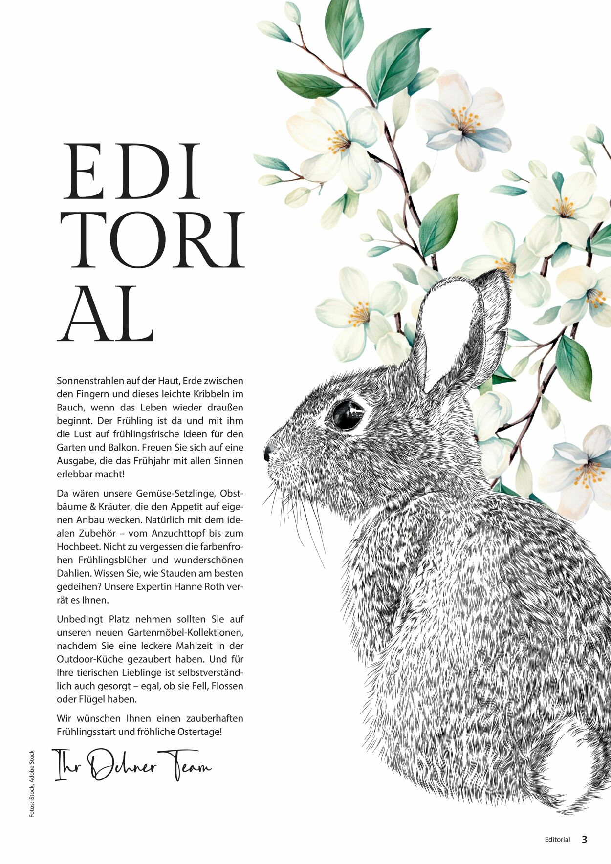 Prospekt Dehner 04.03.2026 - 12.03.2026