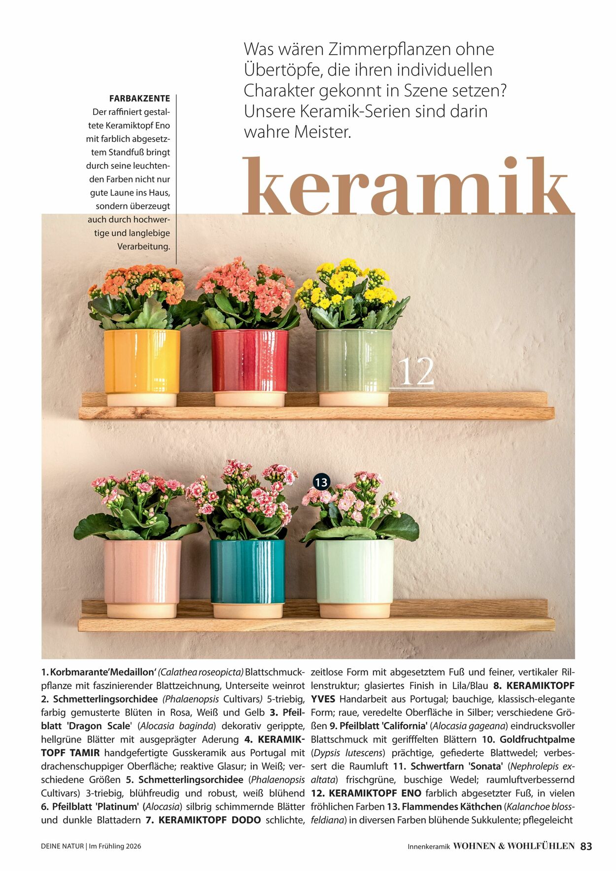 Prospekt Dehner 04.03.2026 - 12.03.2026