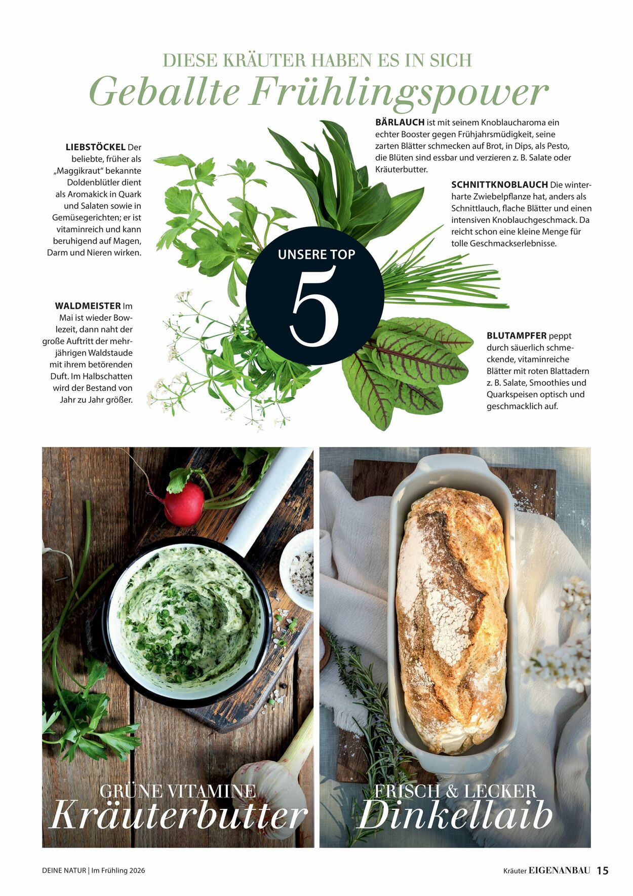 Prospekt Dehner 04.03.2026 - 12.03.2026