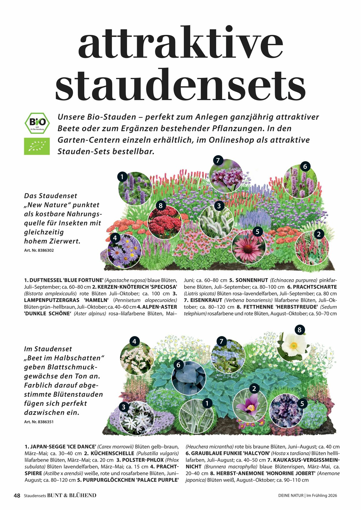 Prospekt Dehner 04.03.2026 - 12.03.2026