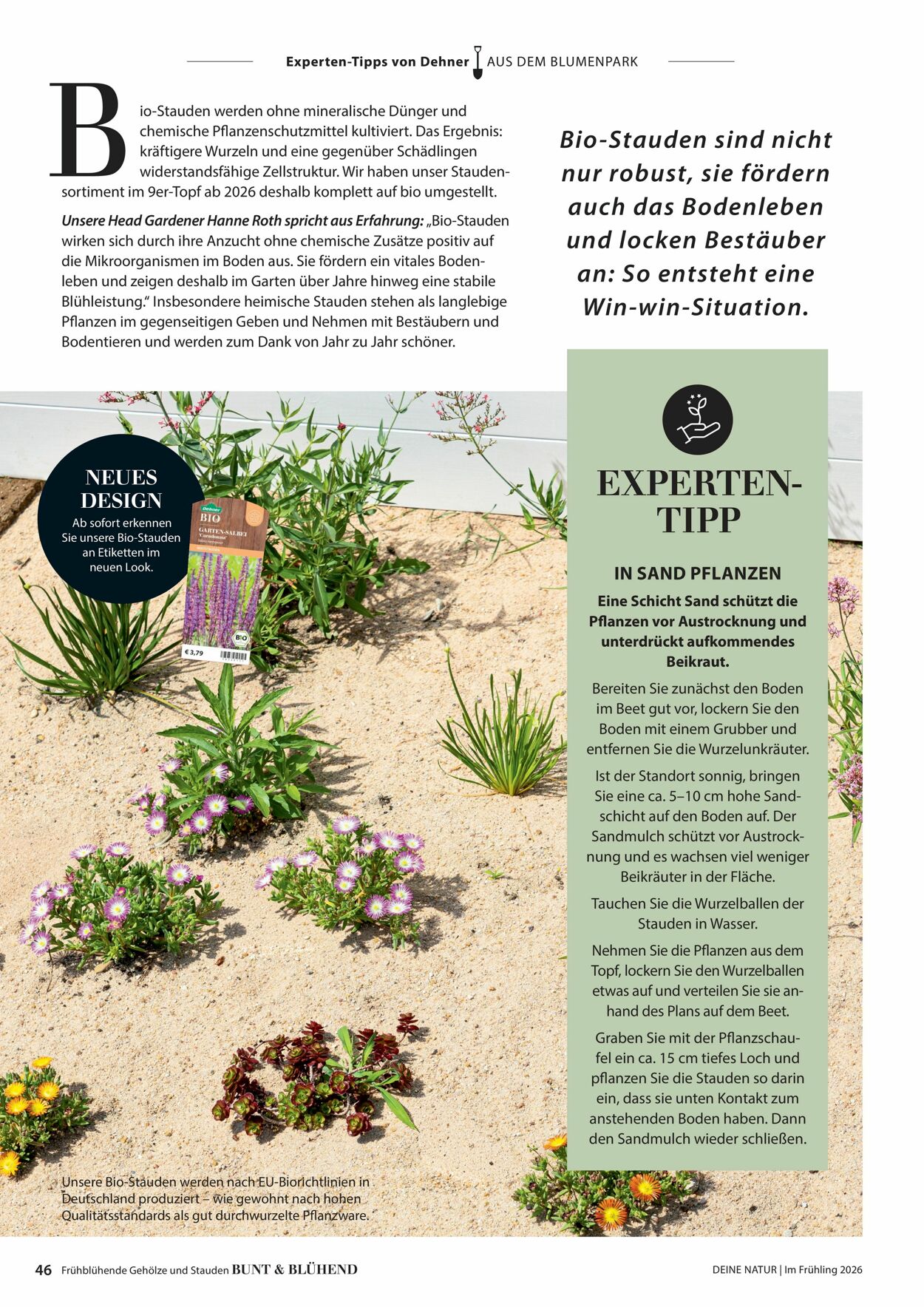 Prospekt Dehner 04.03.2026 - 12.03.2026