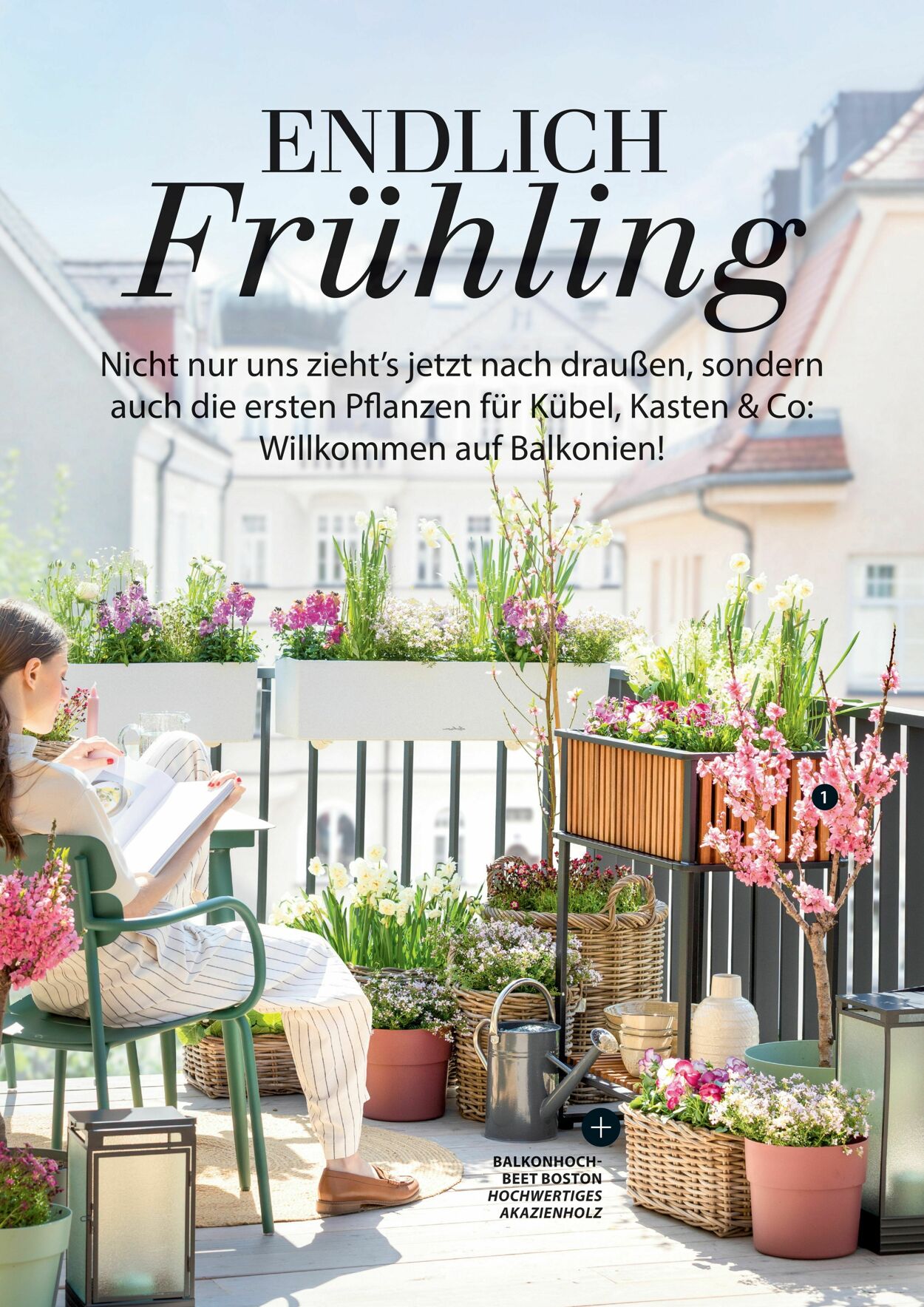 Prospekt Dehner 04.03.2026 - 12.03.2026