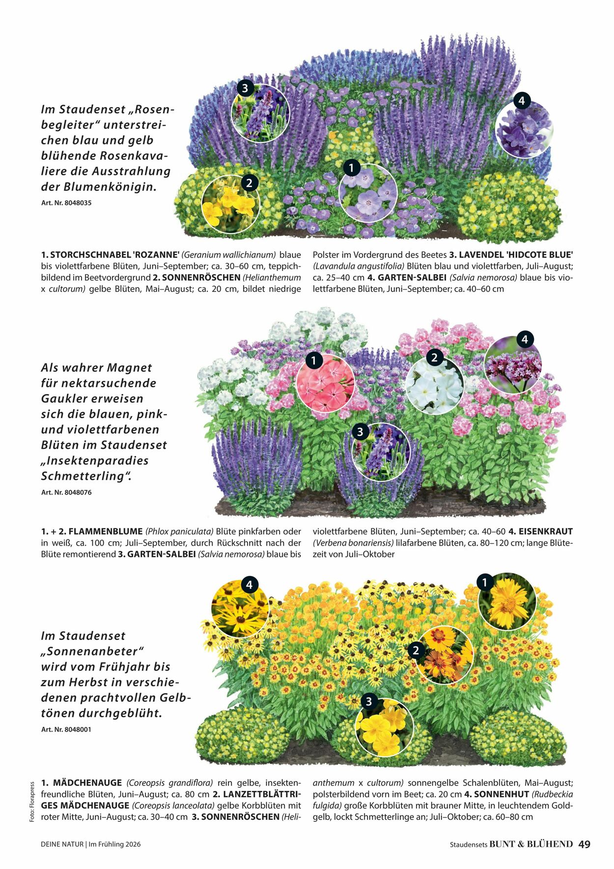 Prospekt Dehner 04.03.2026 - 12.03.2026