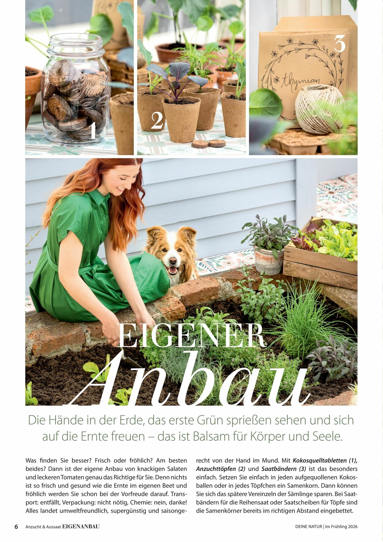 Prospekt Dehner 04.03.2026 - 12.03.2026