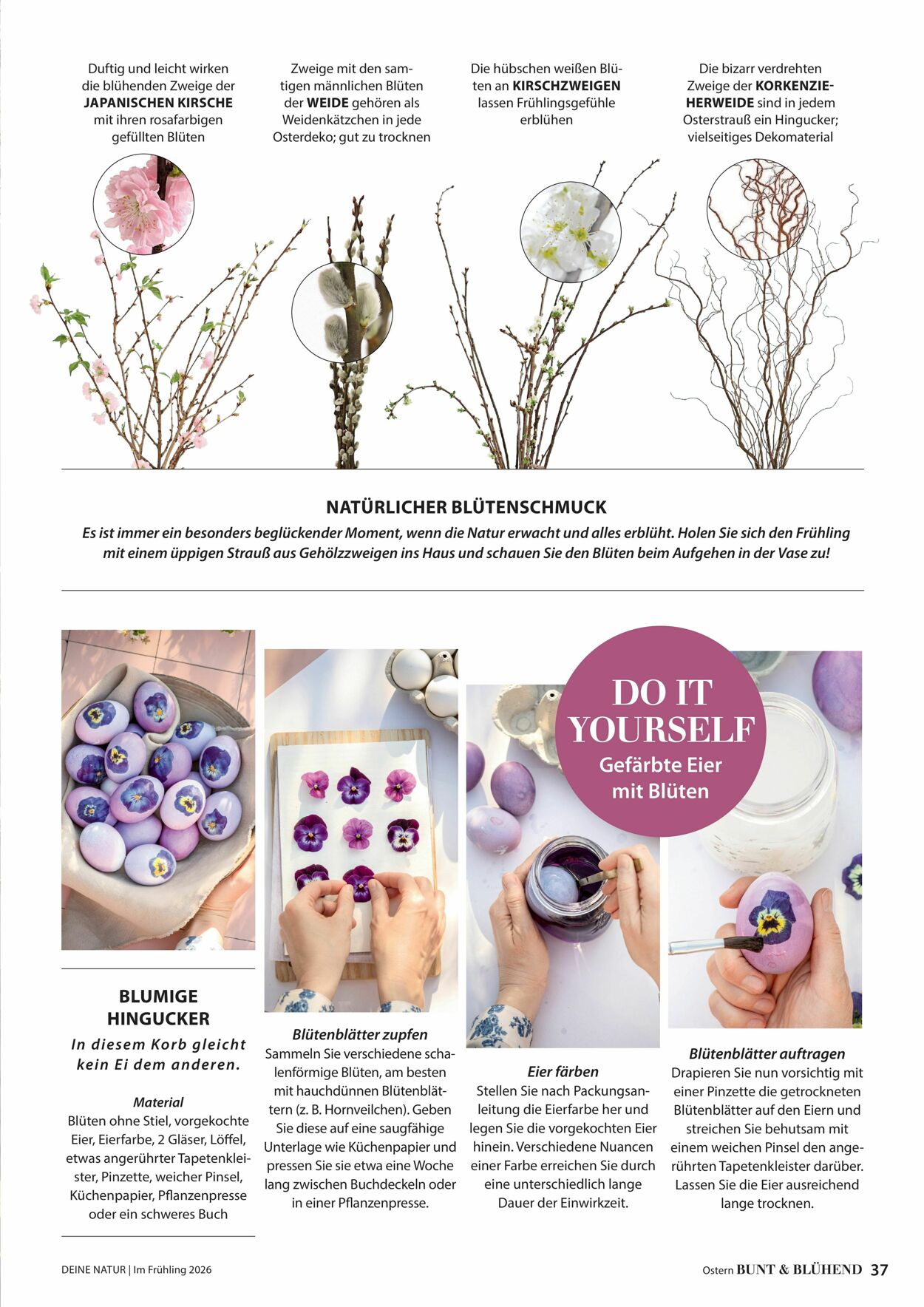 Prospekt Dehner 04.03.2026 - 12.03.2026