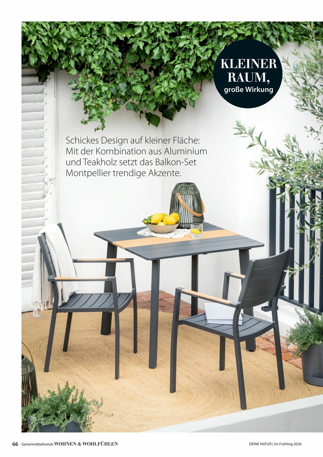 Prospekt Dehner 04.03.2026 - 12.03.2026