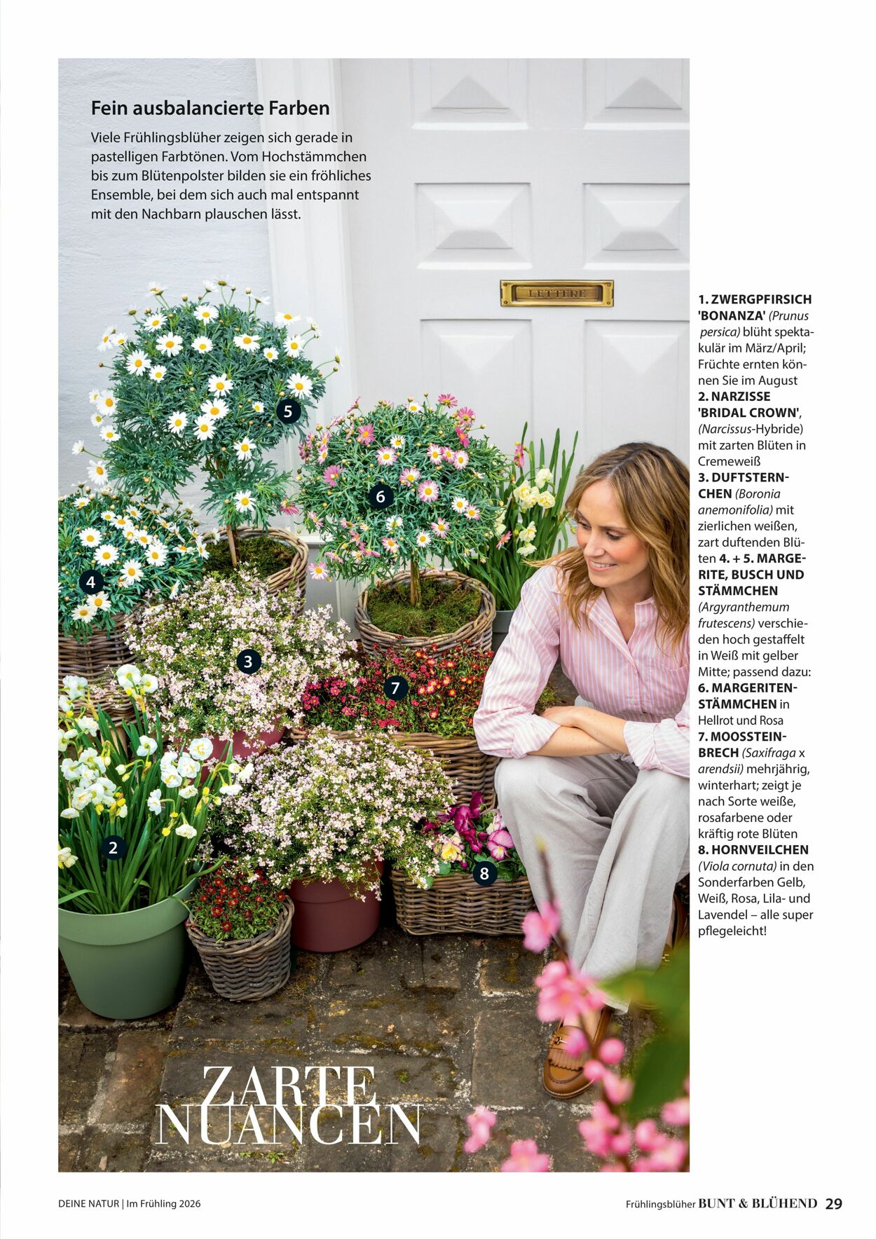 Prospekt Dehner 04.03.2026 - 12.03.2026