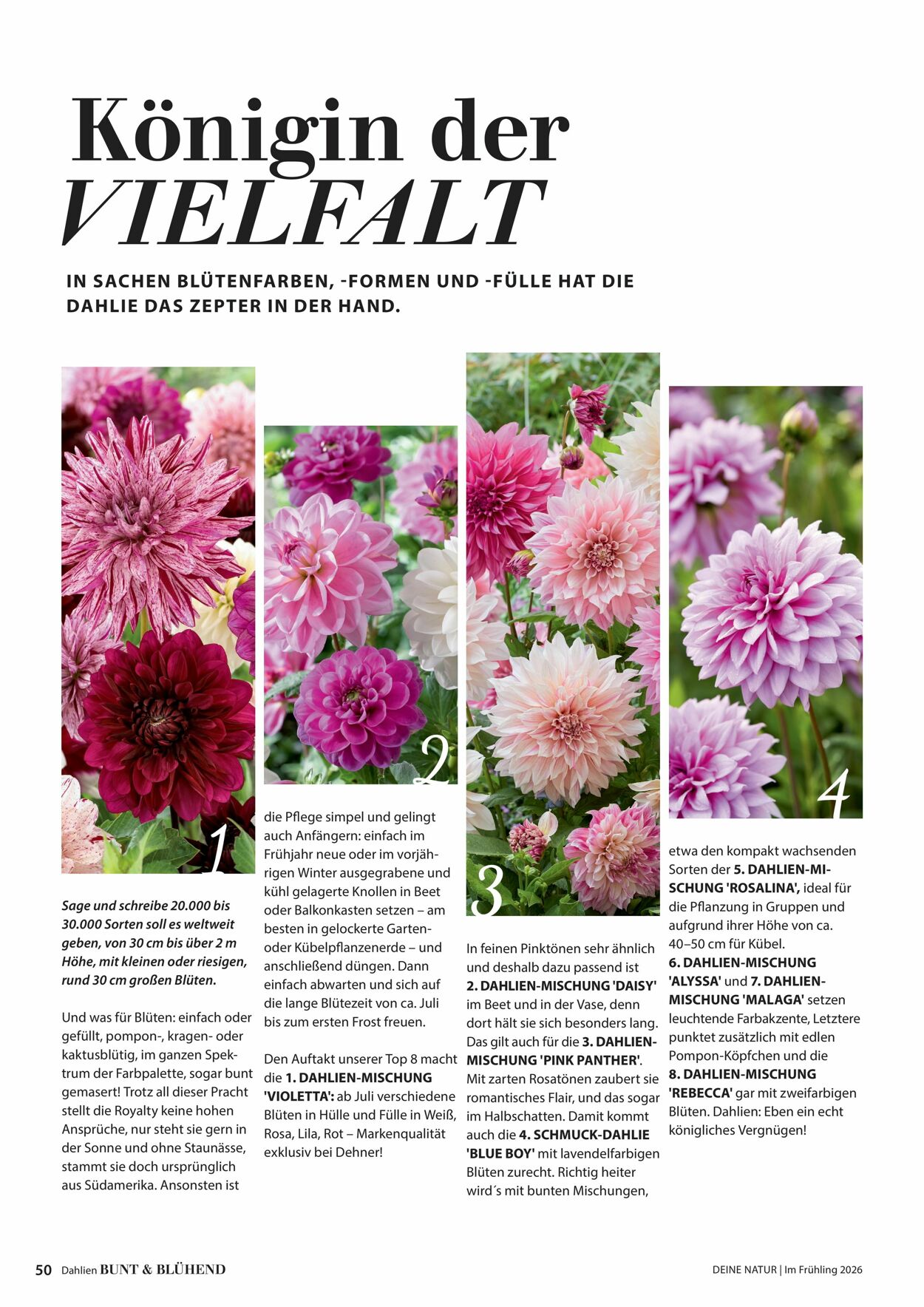 Prospekt Dehner 04.03.2026 - 12.03.2026