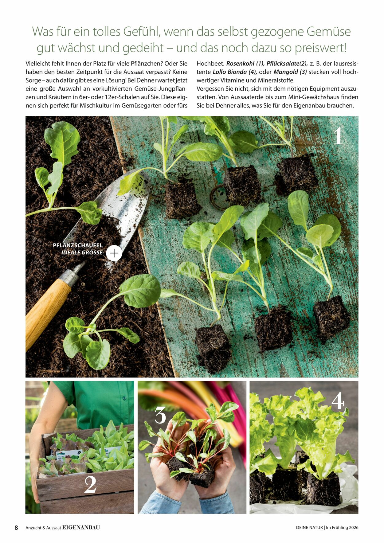 Prospekt Dehner 04.03.2026 - 12.03.2026