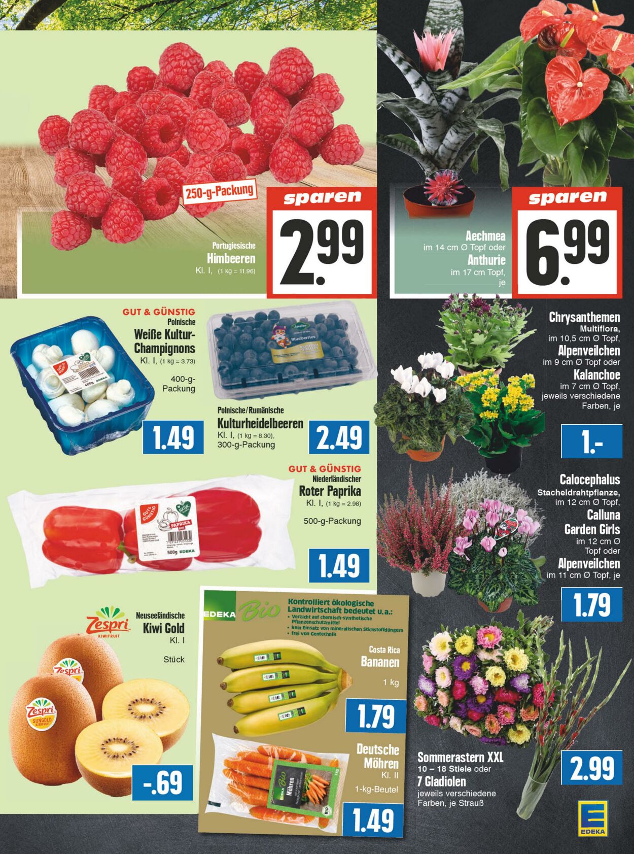 Prospekt Edeka 28.08.2023 - 02.09.2023