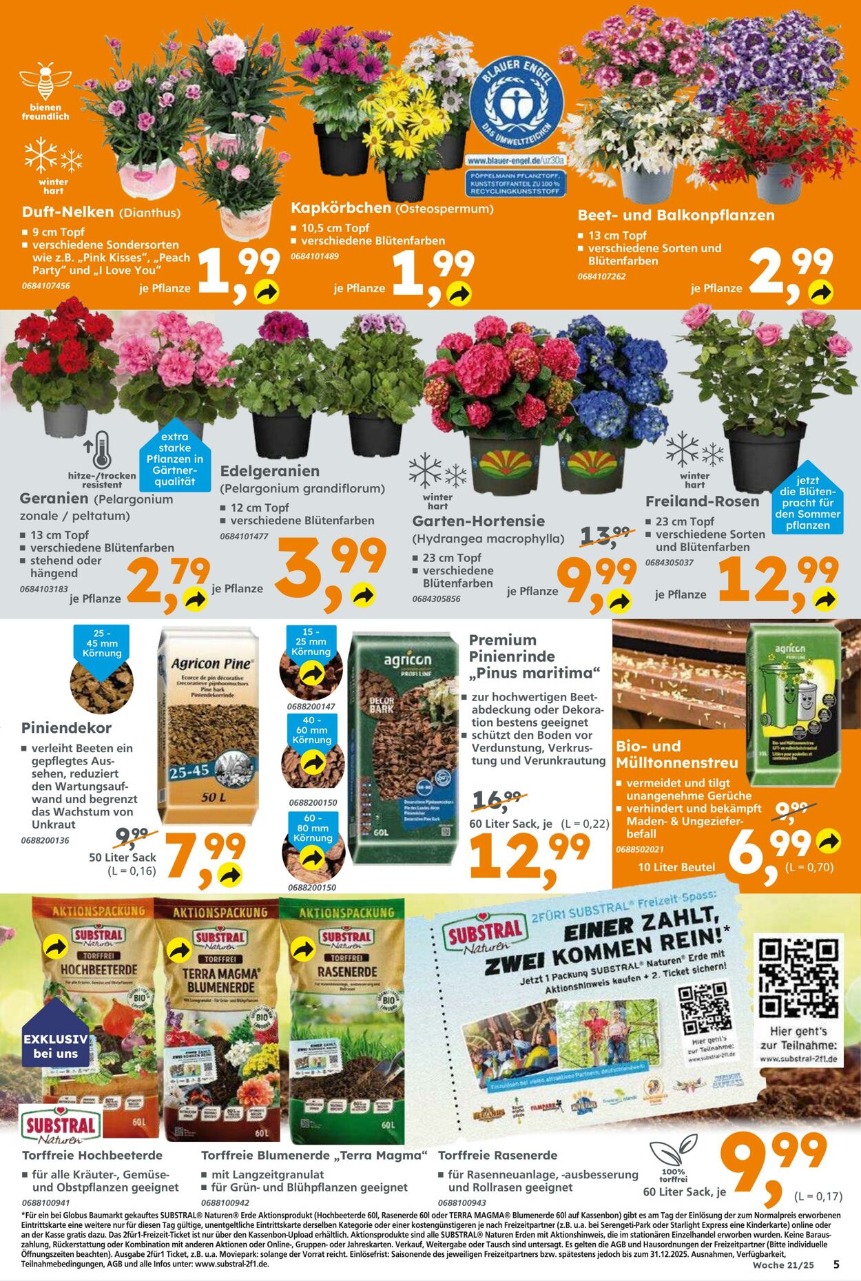 Prospekt Globus Baumarkt 18.05.2025 - 24.05.2025