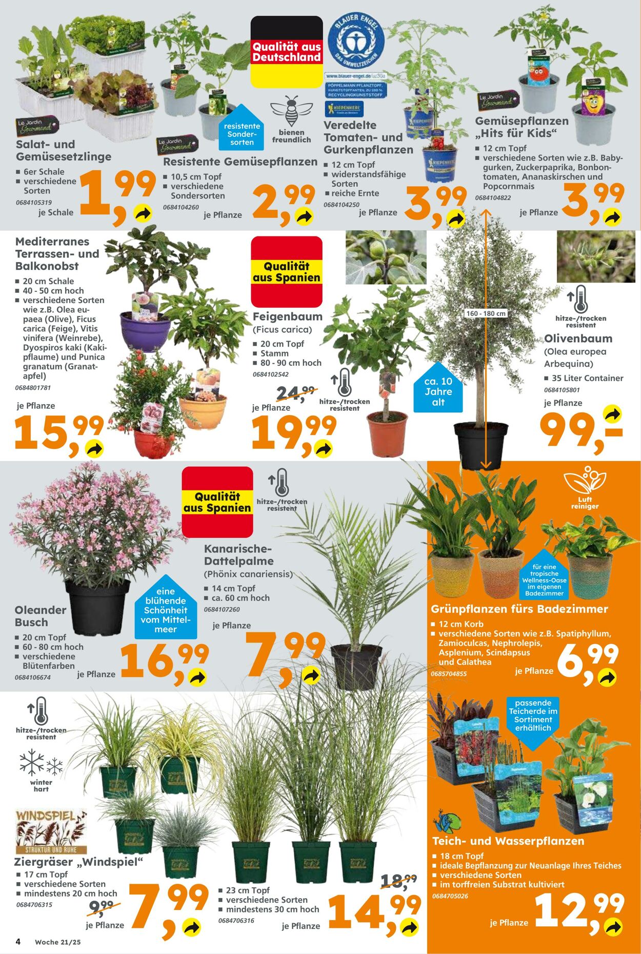 Prospekt Globus Baumarkt 18.05.2025 - 24.05.2025