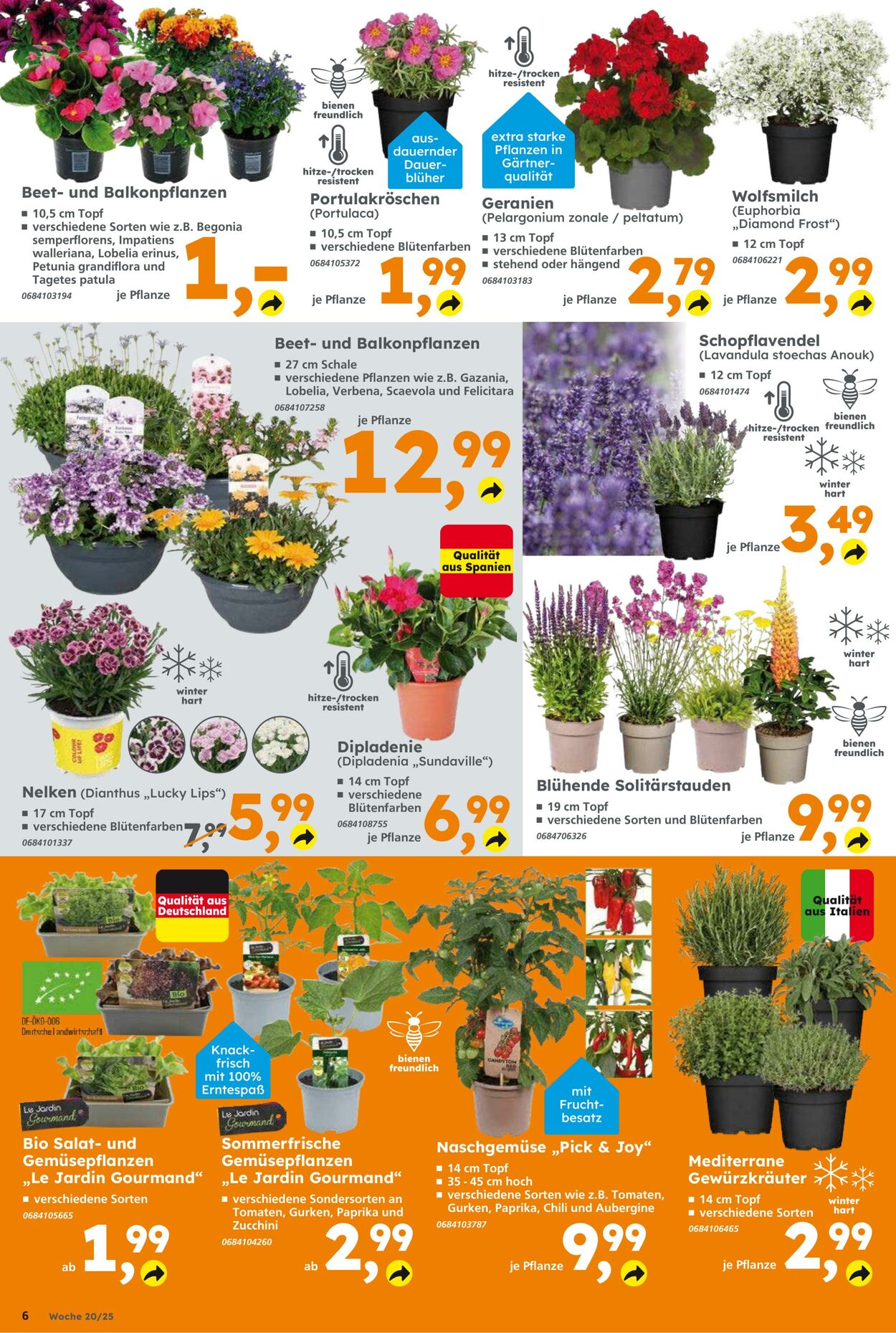 Prospekt Globus Baumarkt 11.05.2025 - 17.05.2025