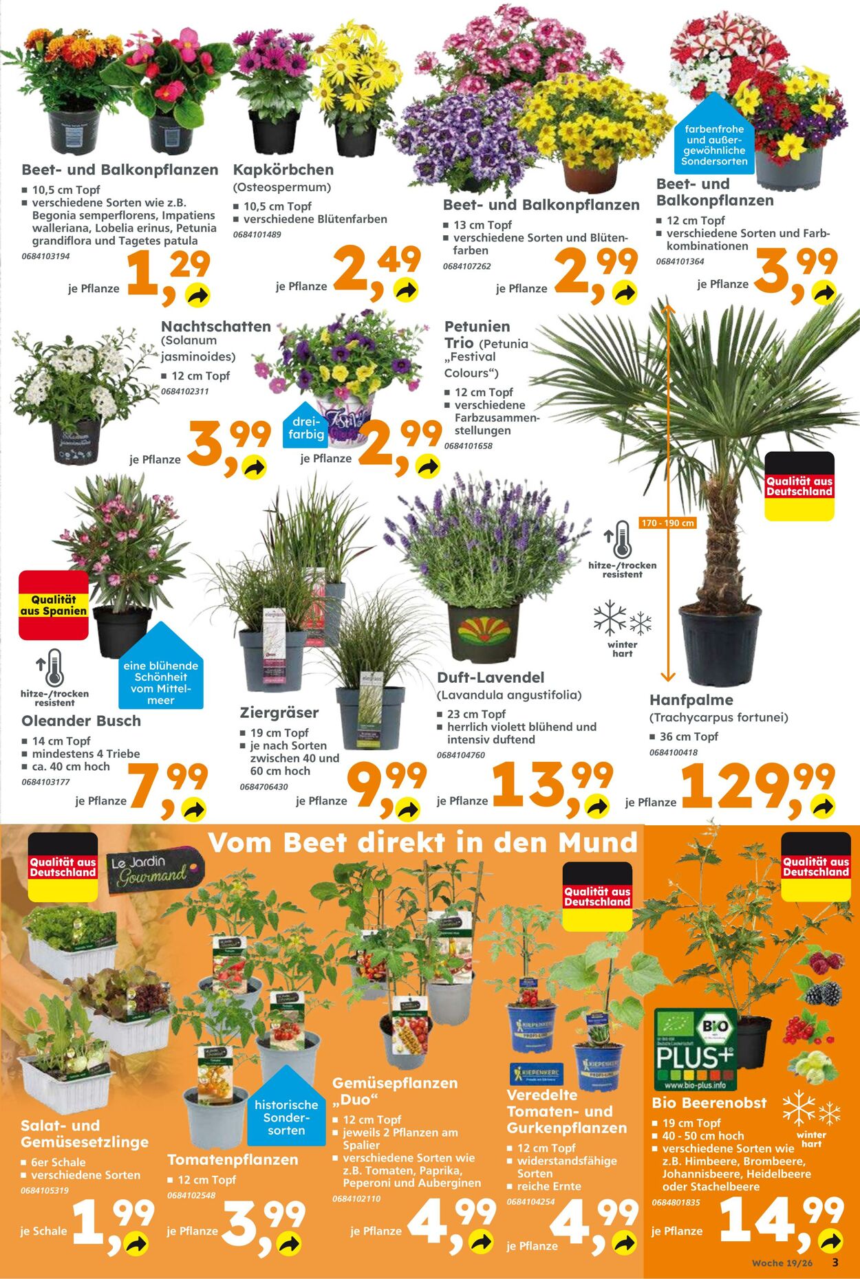 Prospekt Globus Baumarkt 03.05.2026 - 09.05.2026