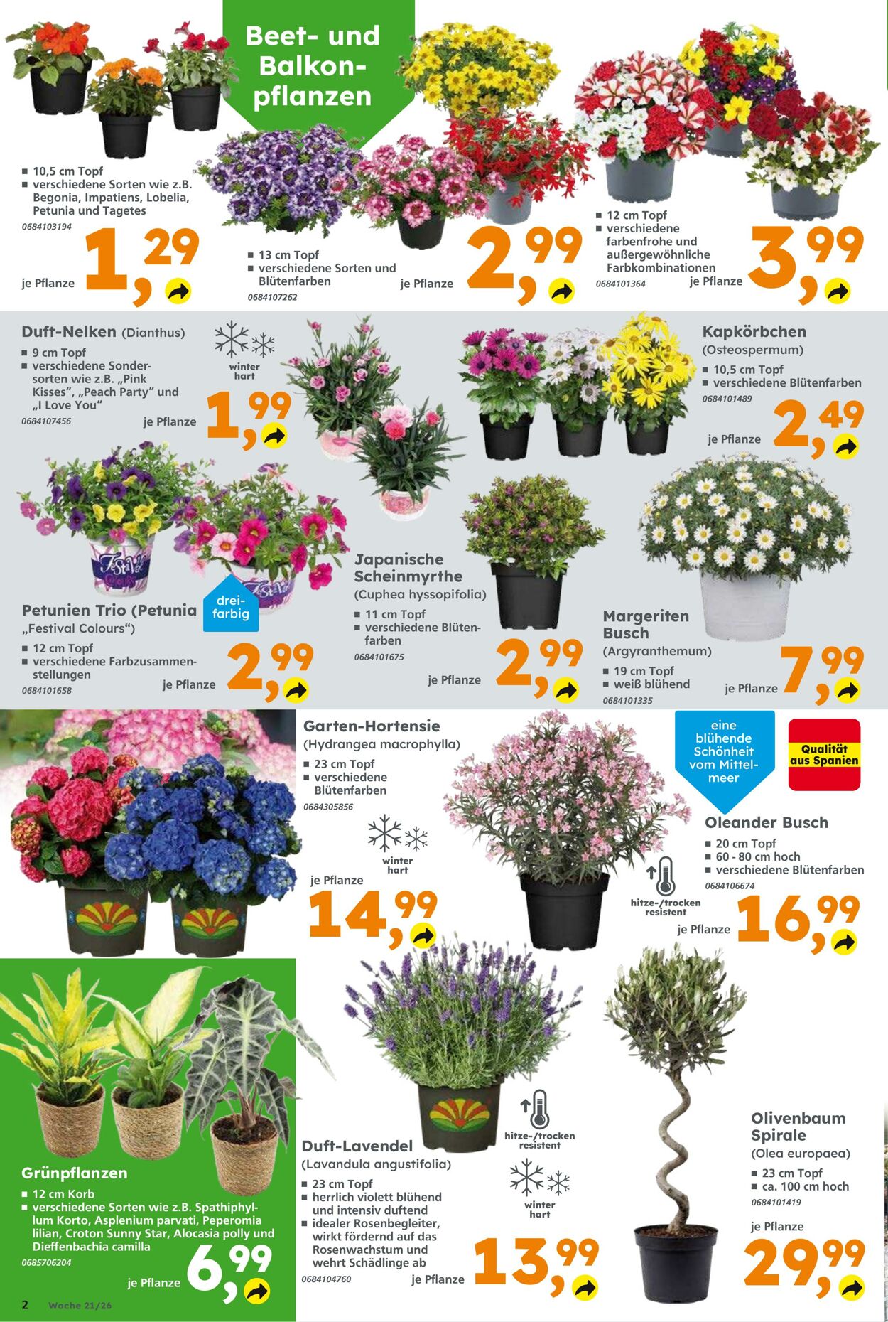 Prospekt Globus Baumarkt 17.05.2026 - 23.05.2026