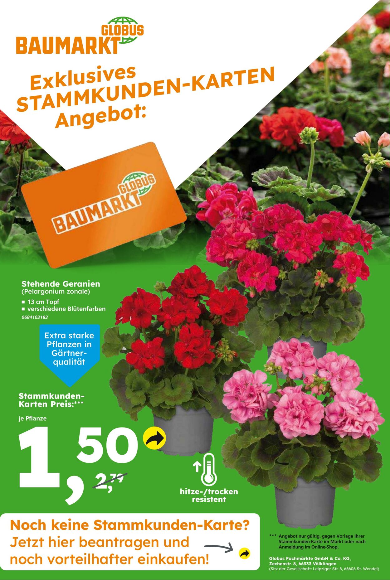 Prospekt Globus Baumarkt 25.05.2025 - 31.05.2025