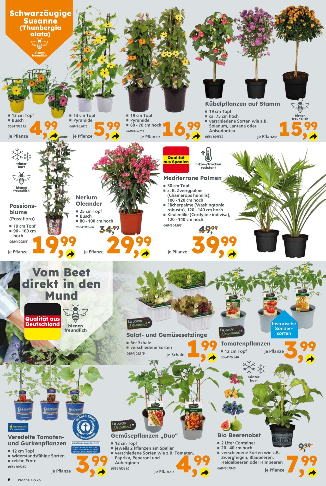 Prospekt Globus Baumarkt 04.05.2025 - 10.05.2025