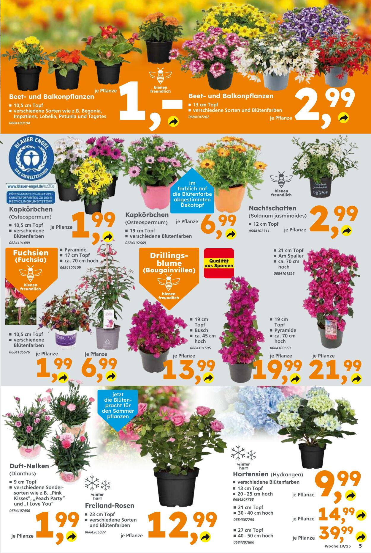 Prospekt Globus Baumarkt 04.05.2025 - 10.05.2025