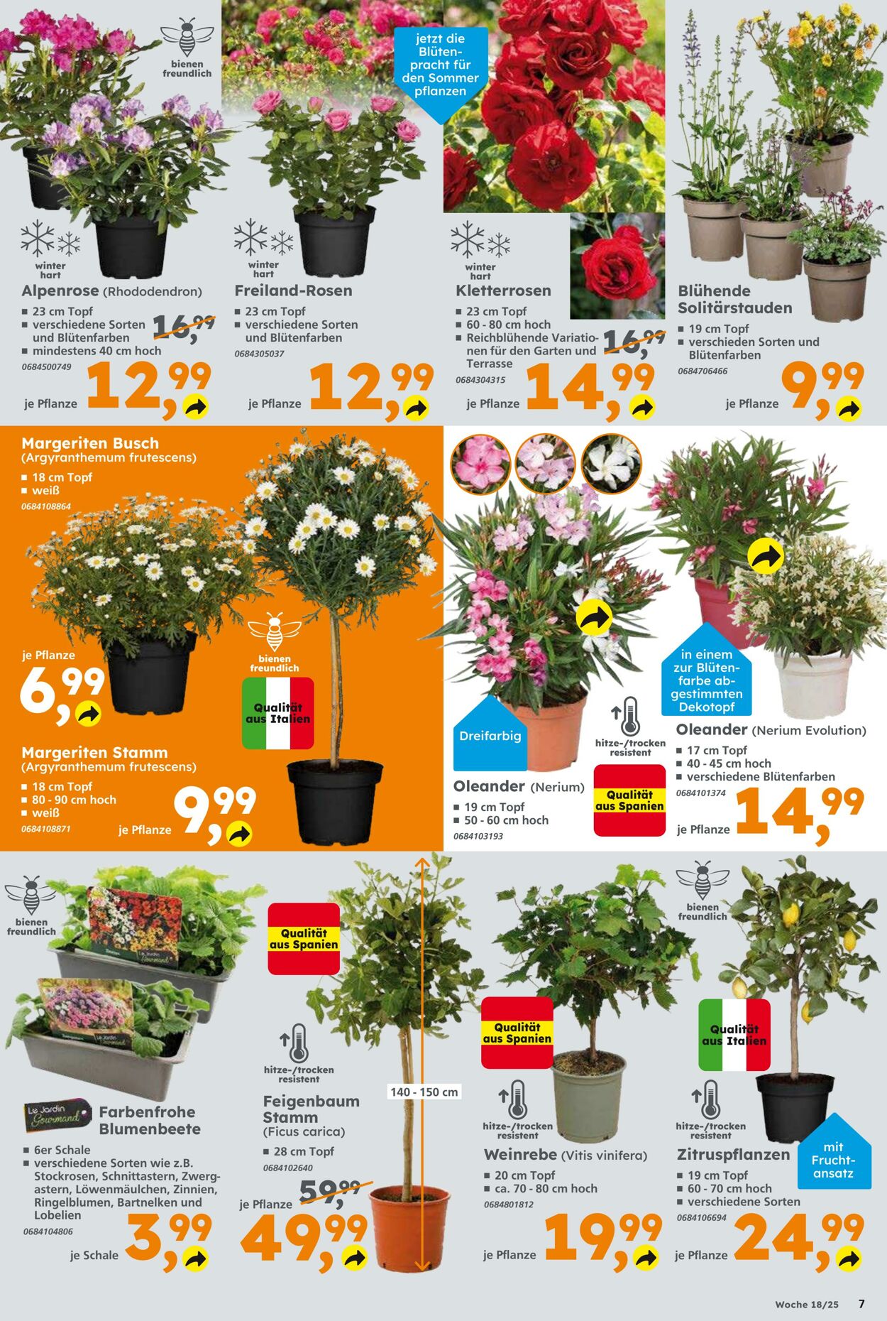 Prospekt Globus Baumarkt 27.04.2025 - 03.05.2025