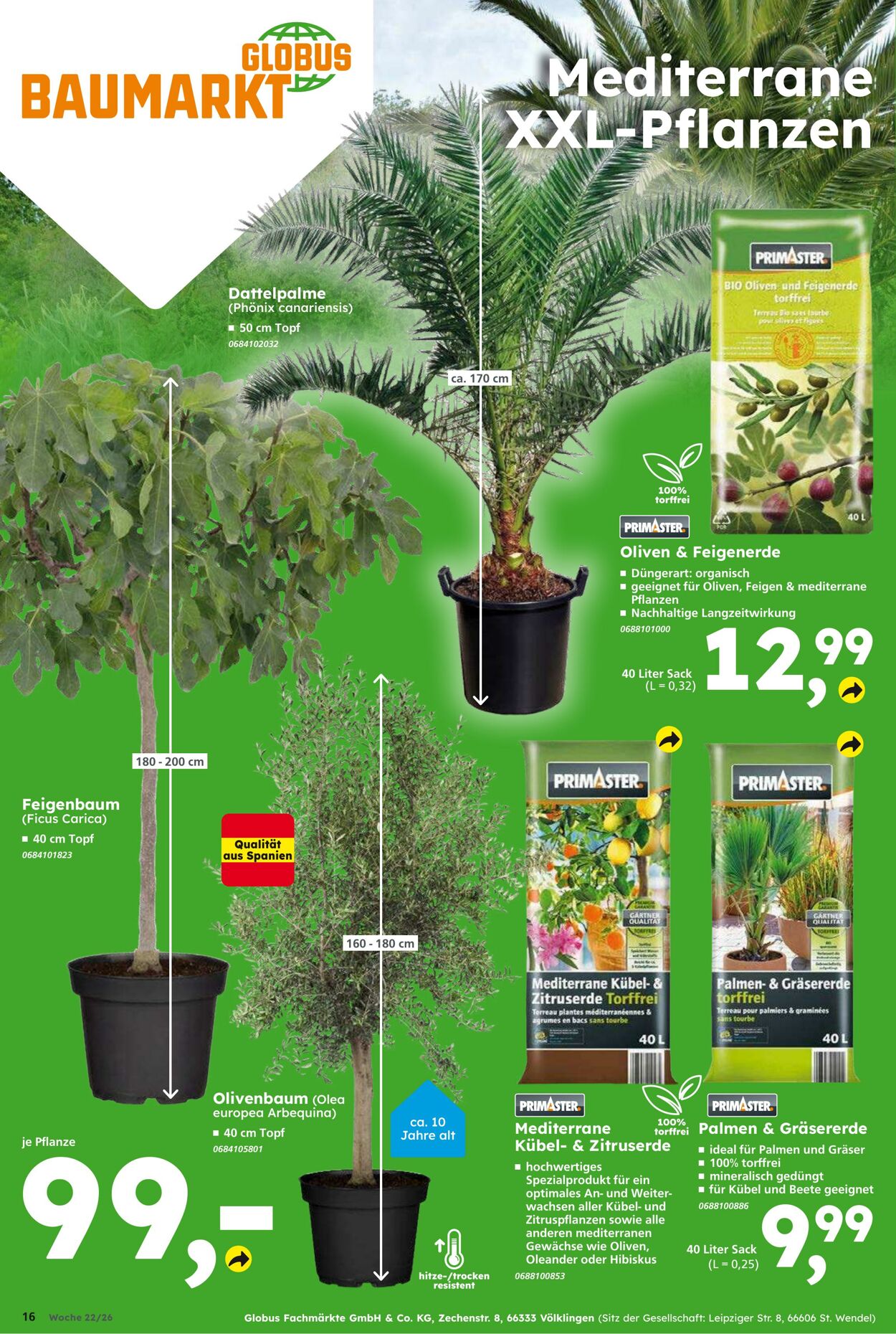 Prospekt Globus Baumarkt 24.05.2026 - 30.05.2026
