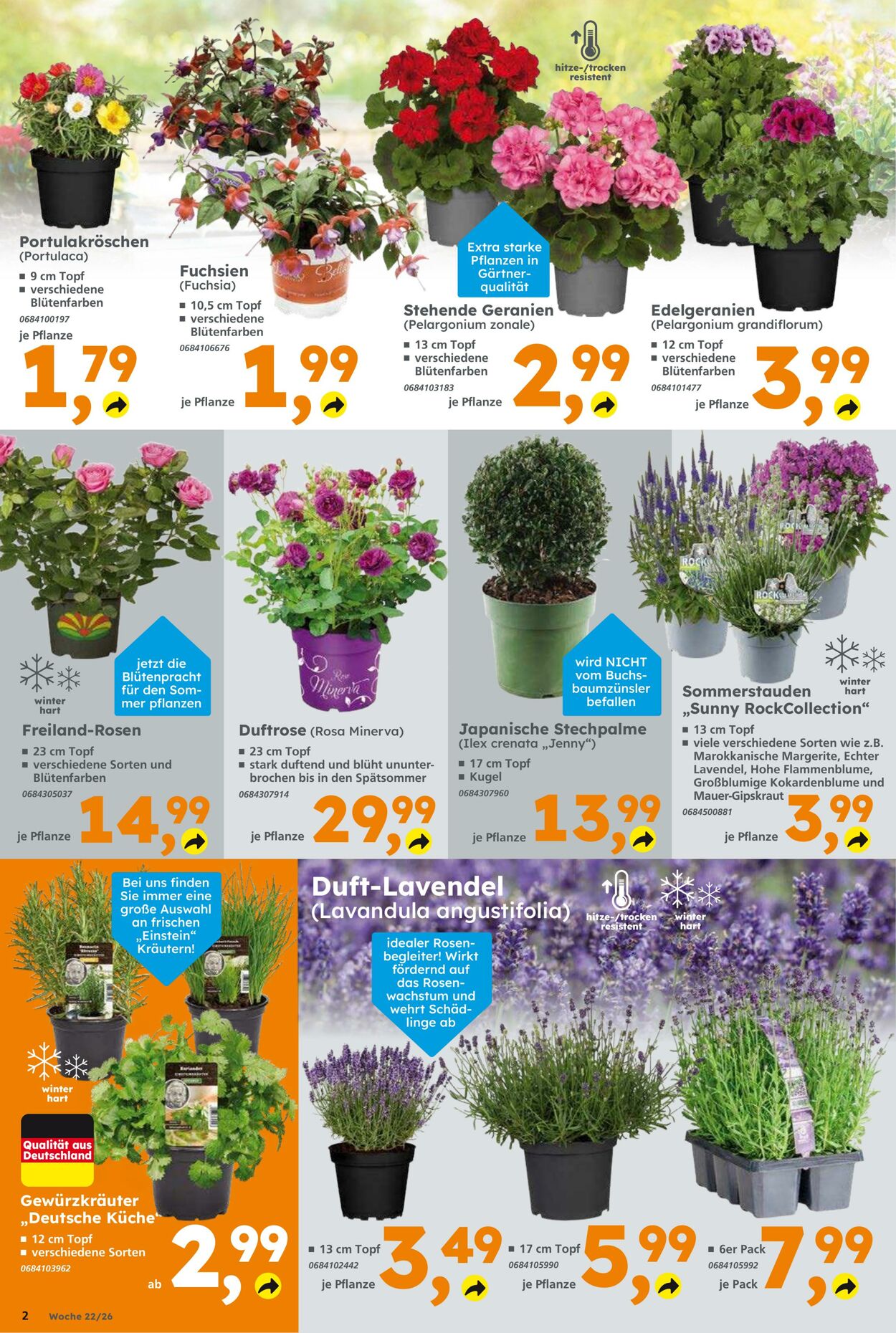Prospekt Globus Baumarkt 24.05.2026 - 30.05.2026