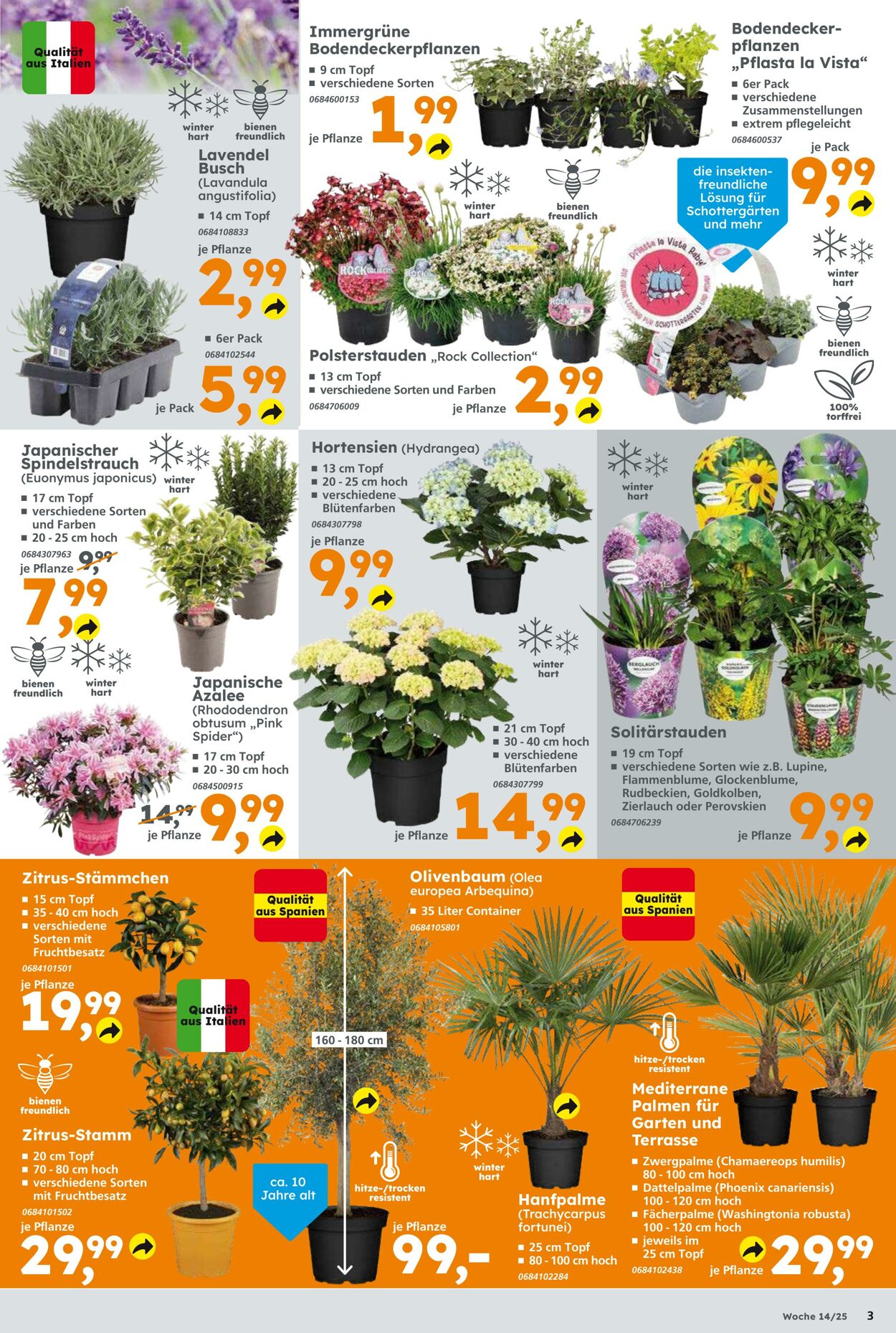 Prospekt Globus Baumarkt 30.03.2025 - 05.04.2025