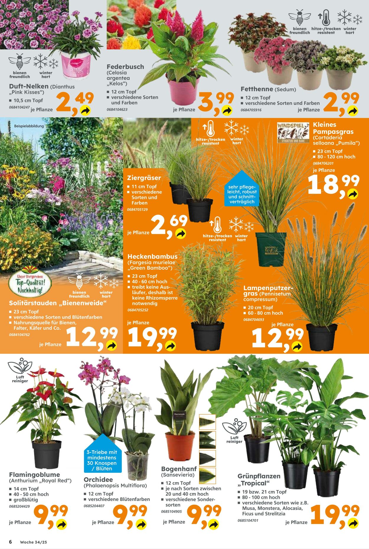 Prospekt Globus Baumarkt 17.08.2025 - 23.08.2025