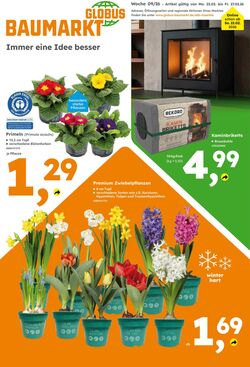 Prospekt Globus Baumarkt 22.02.2026 - 27.02.2026