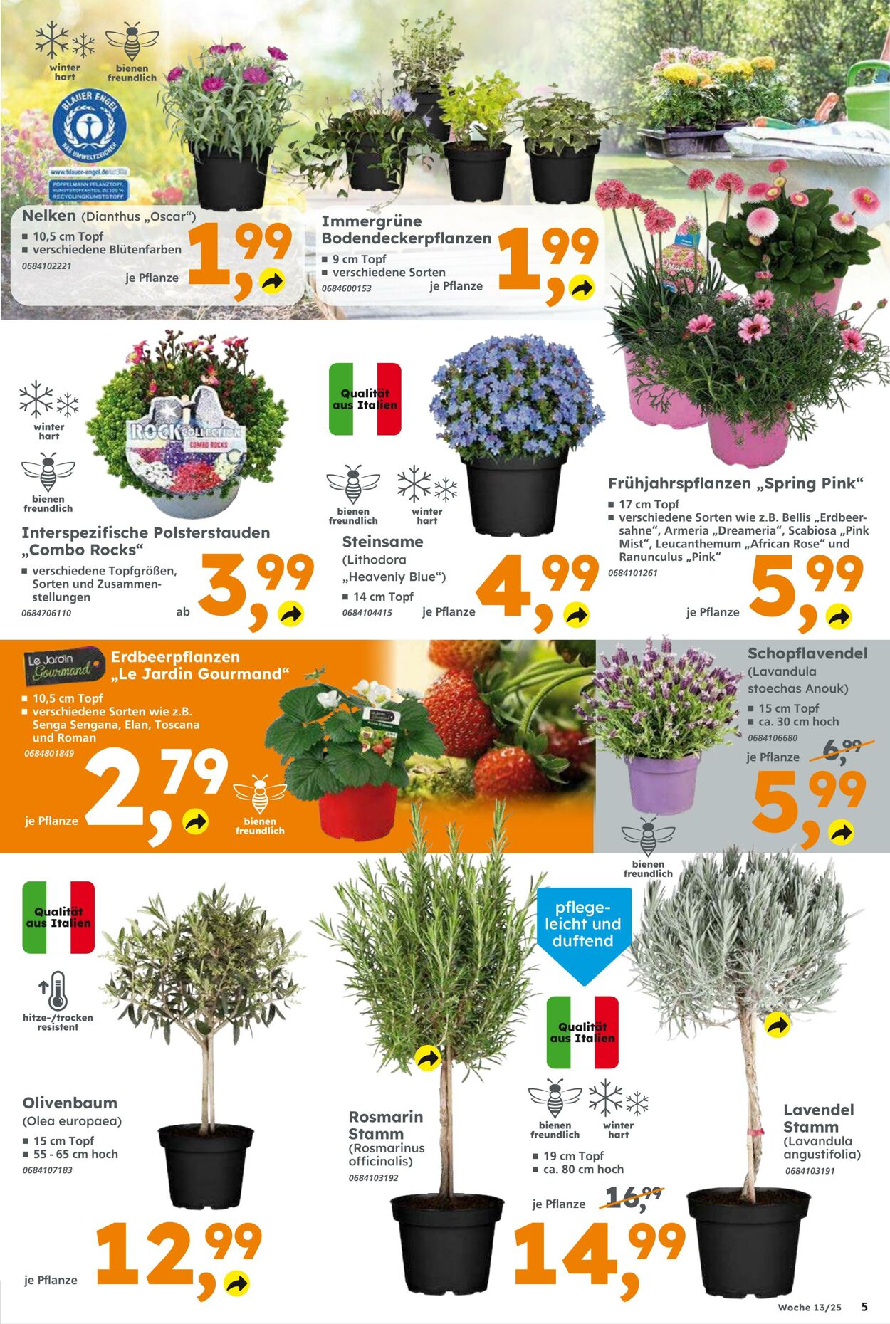 Prospekt Globus Baumarkt 23.03.2025 - 29.03.2025