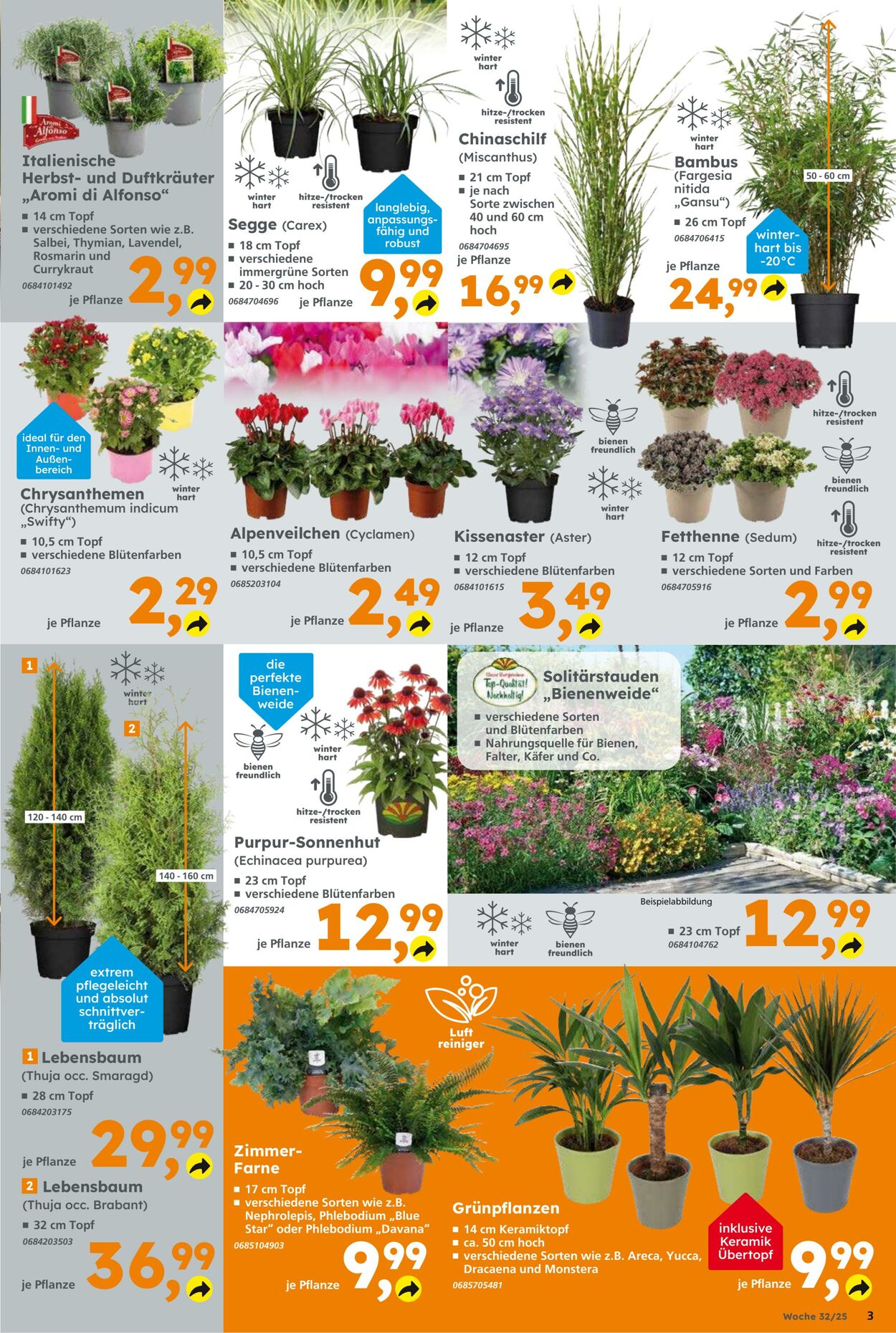 Prospekt Globus Baumarkt 03.08.2025 - 09.08.2025