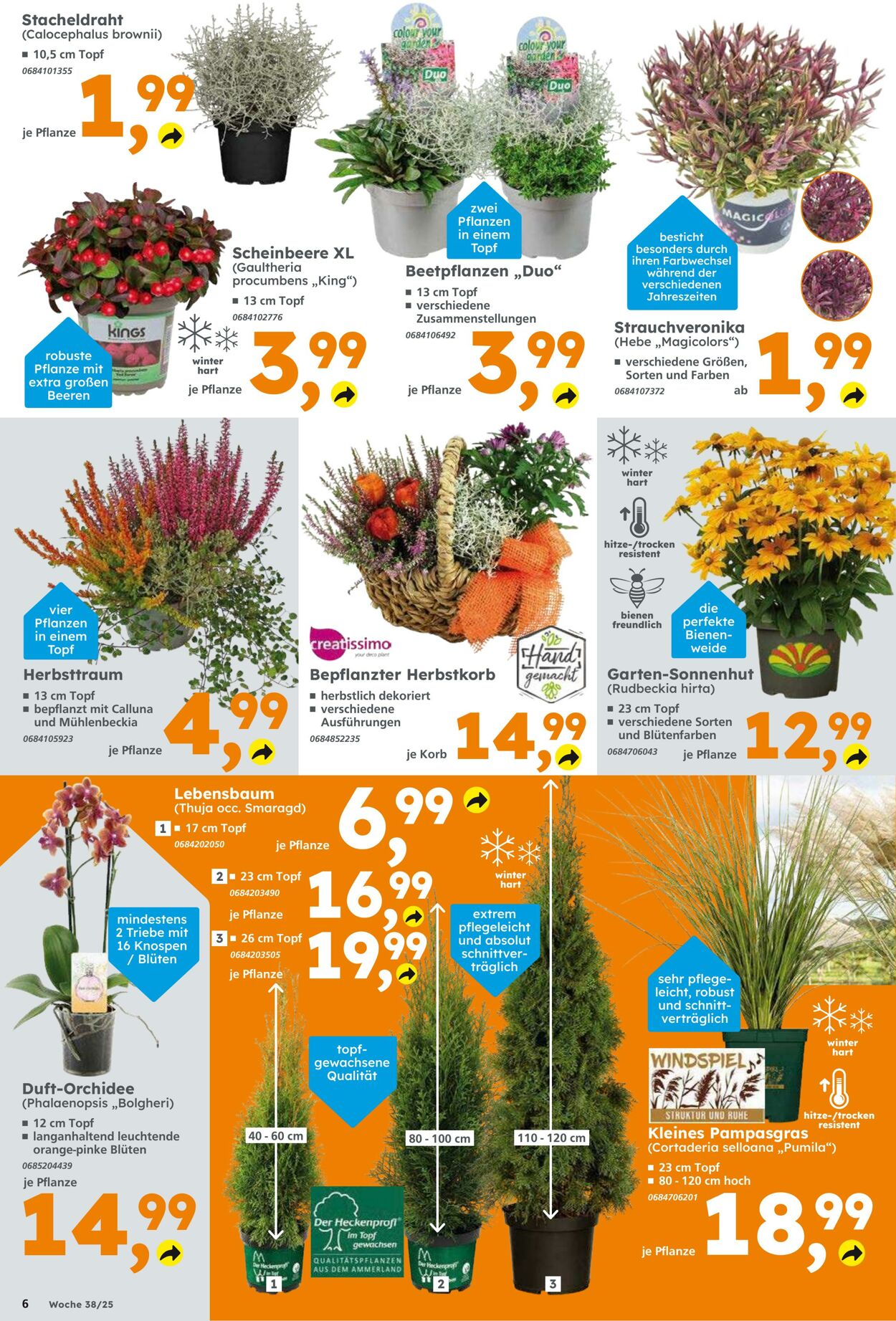 Prospekt Globus Baumarkt 14.09.2025 - 20.09.2025