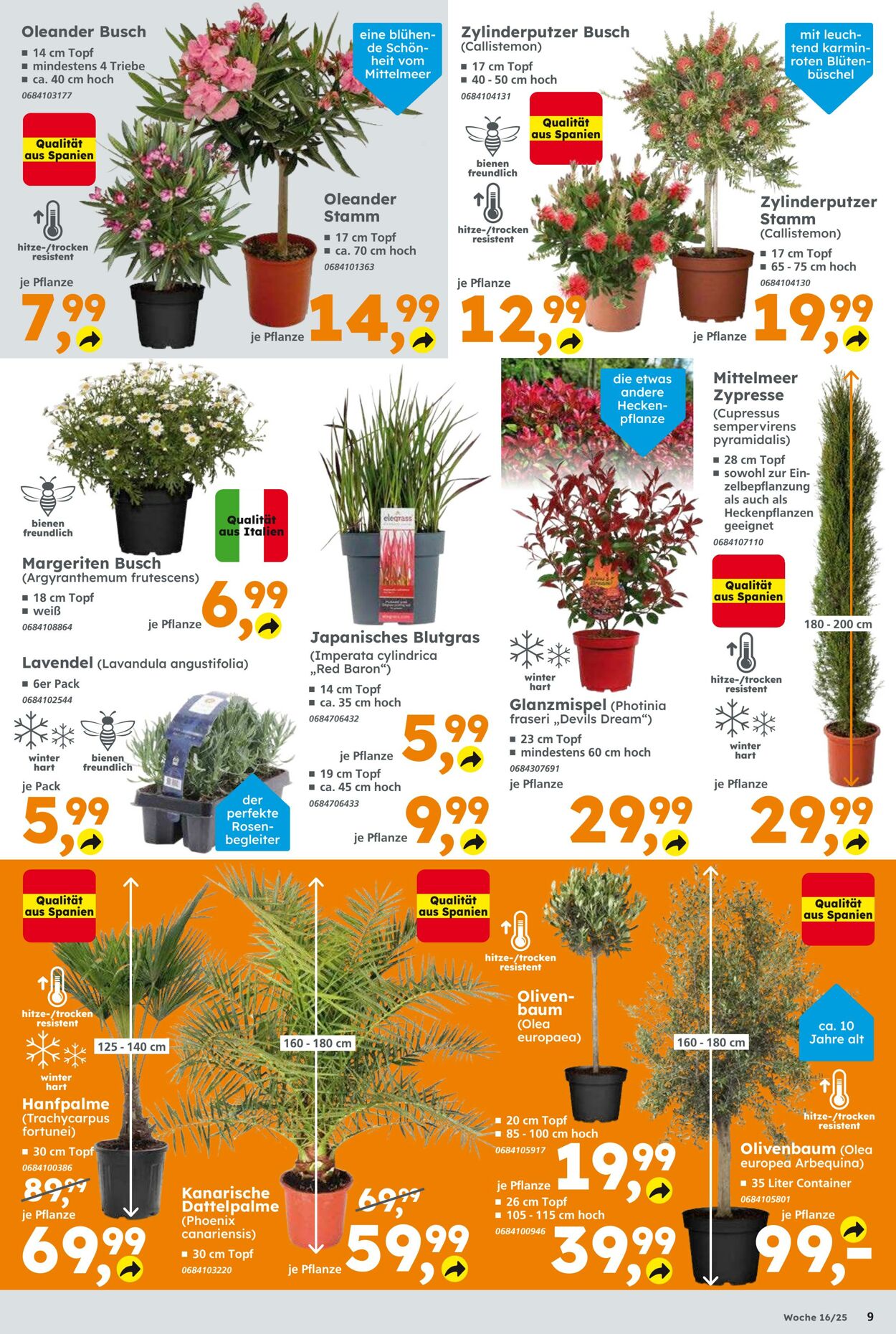 Prospekt Globus Baumarkt 13.04.2025 - 19.04.2025