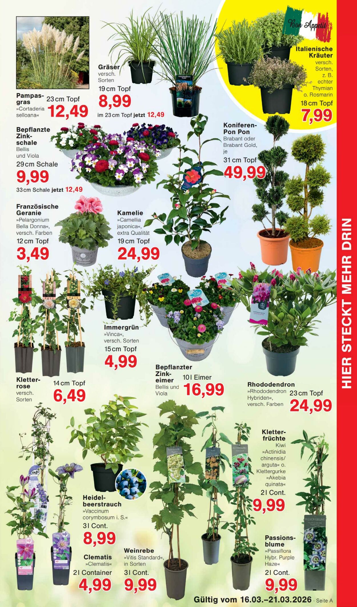 Prospekt Jawoll 09.03.2026 - 14.03.2026